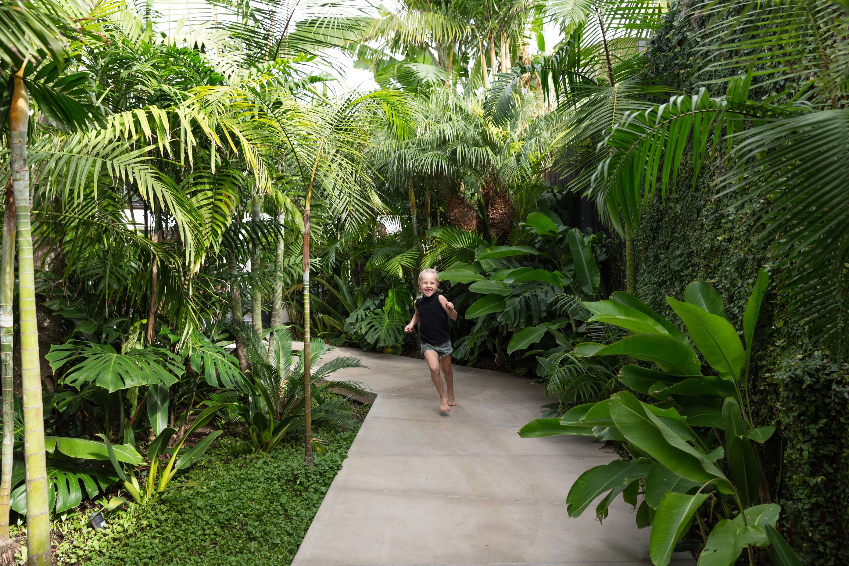 Jungle House