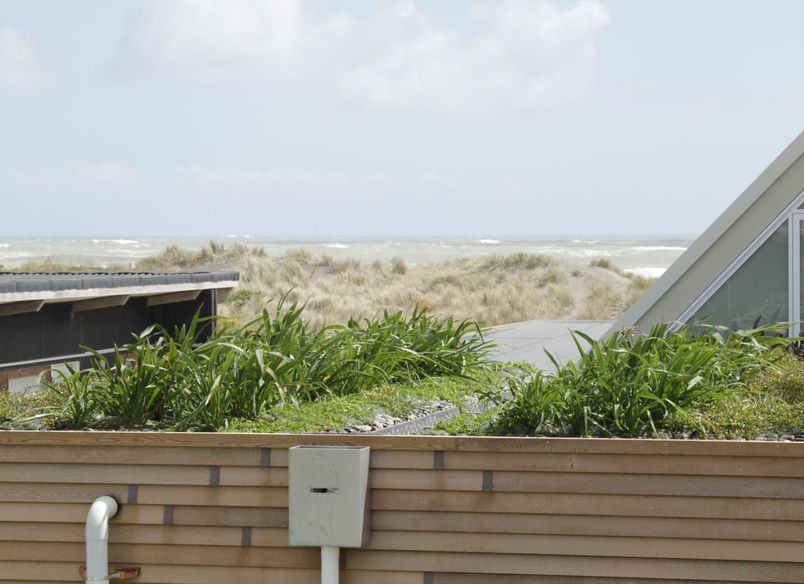 Port Waikato Home Green Roof