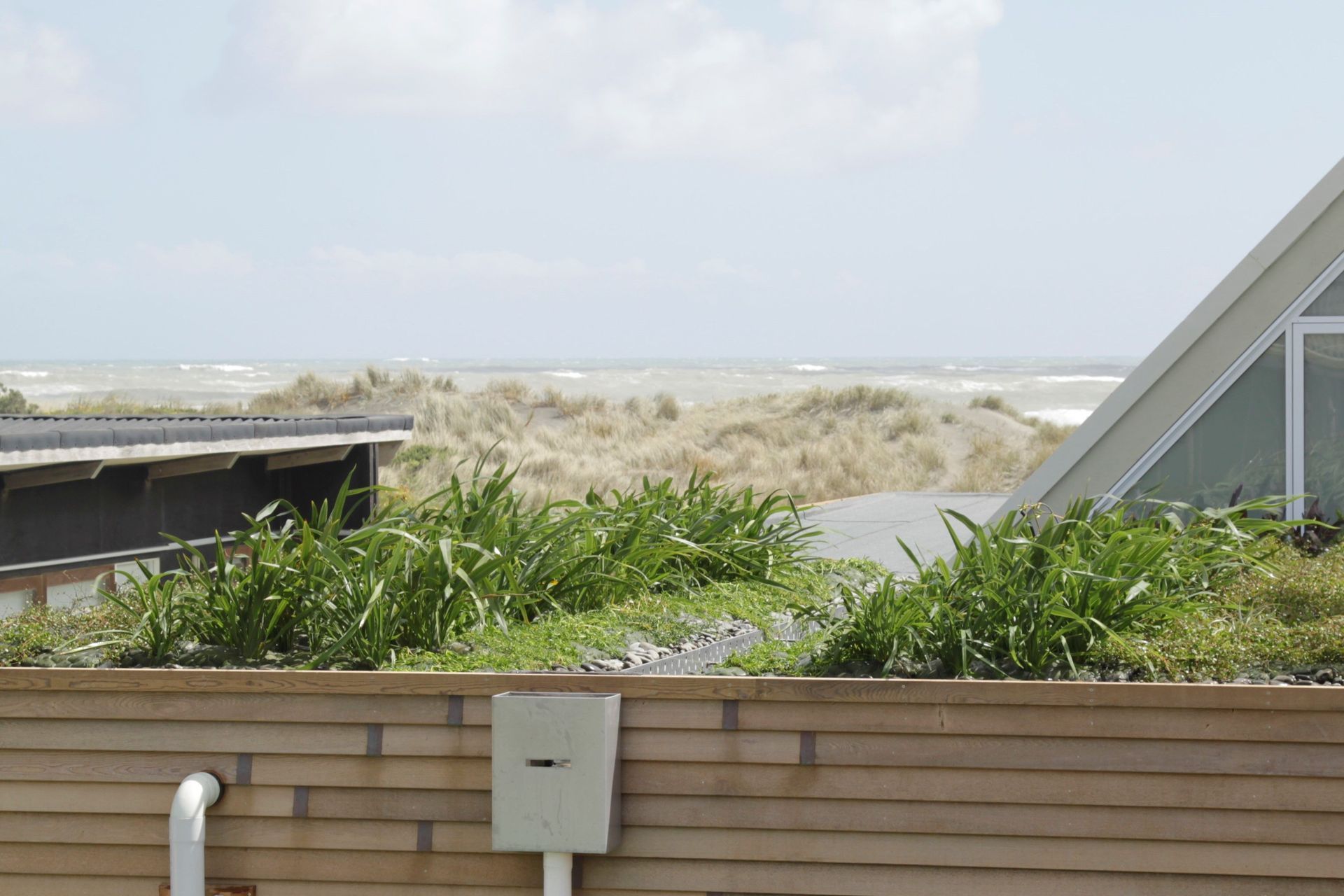 Port Waikato Home Green Roof