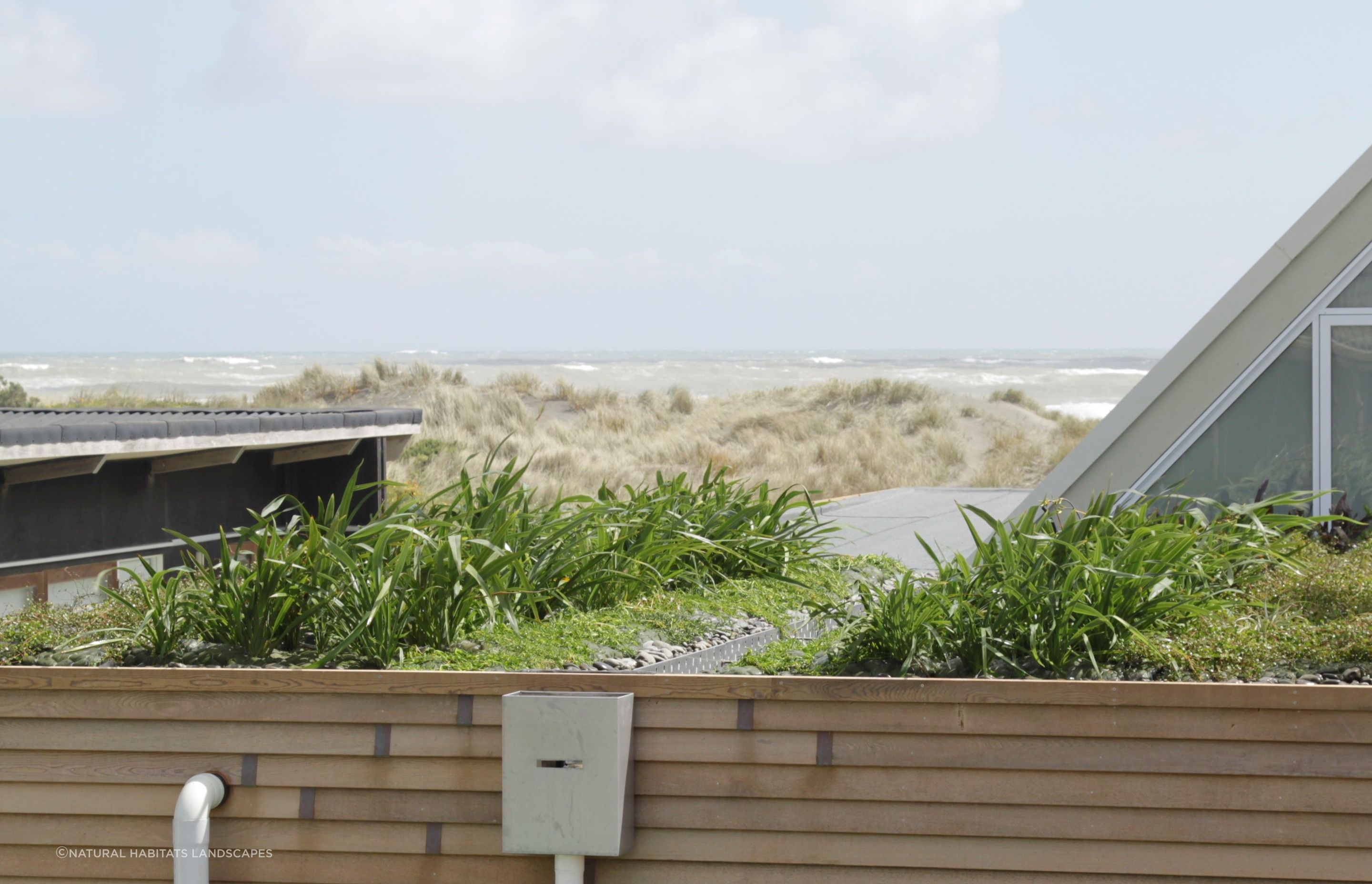 Port Waikato Home Green Roof