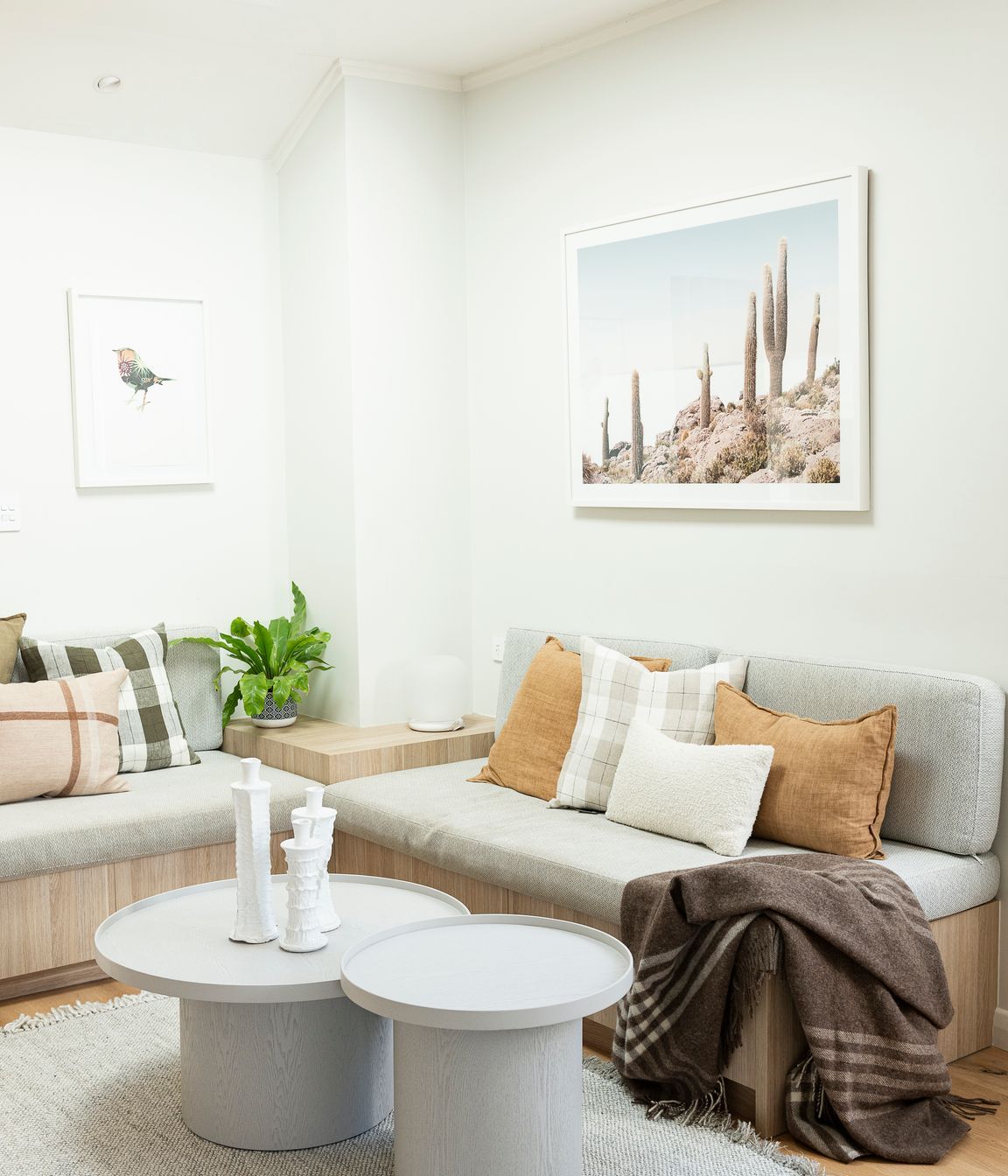 Narrowneck Renovation
