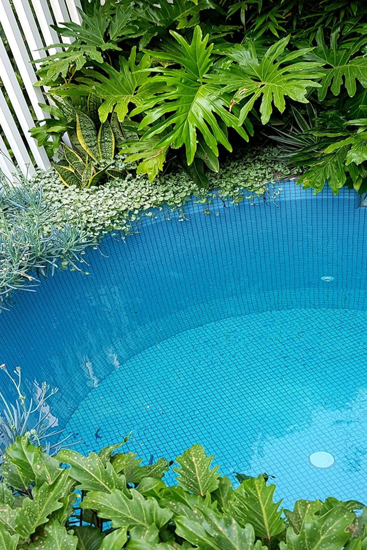 **^^Leichhardt House