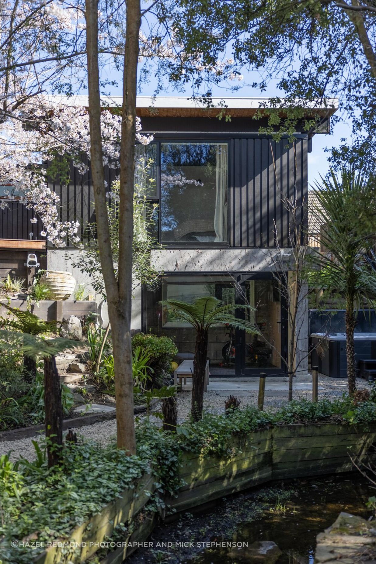 Mid-Century Renovation