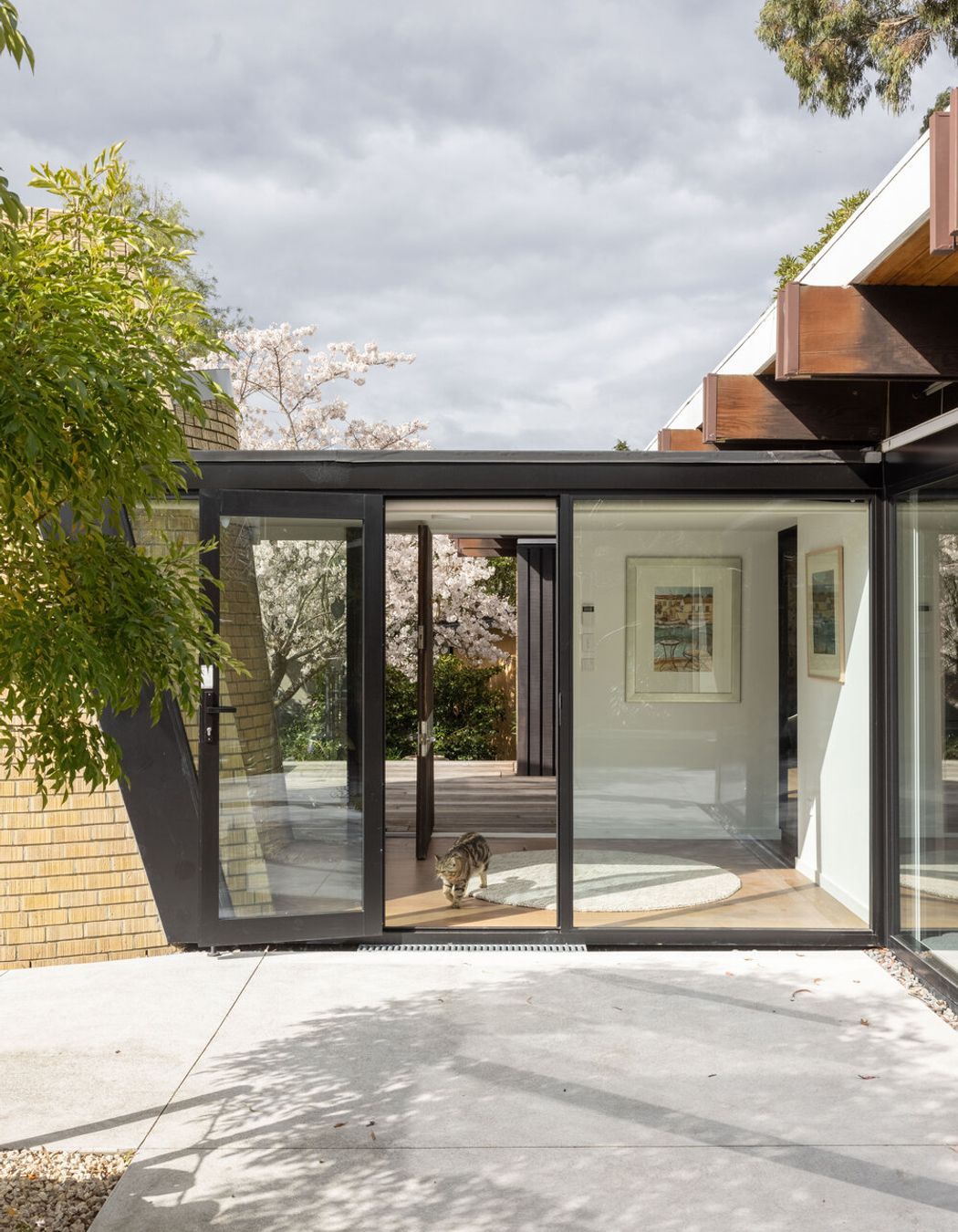 Mid-Century Renovation