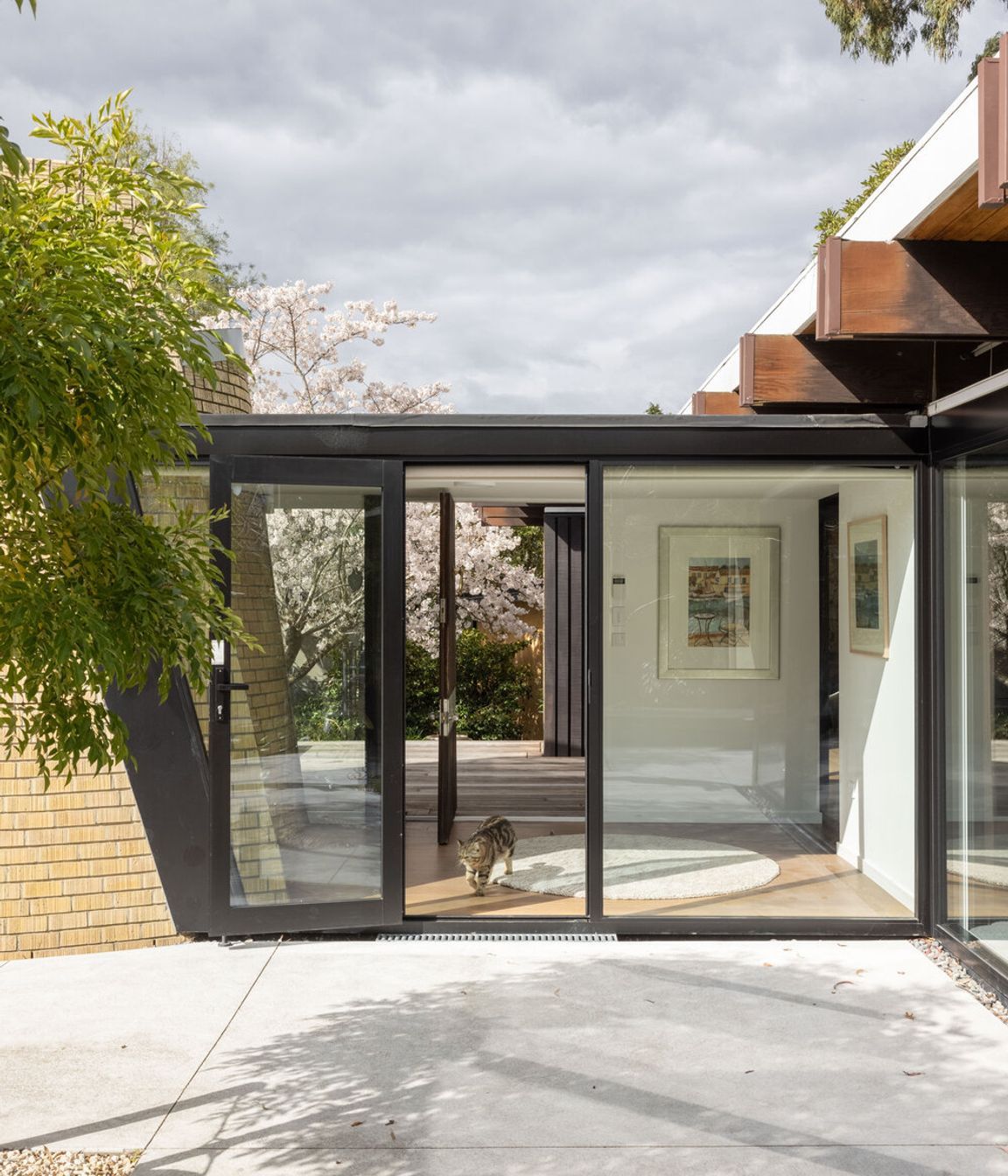 Mid-Century Renovation