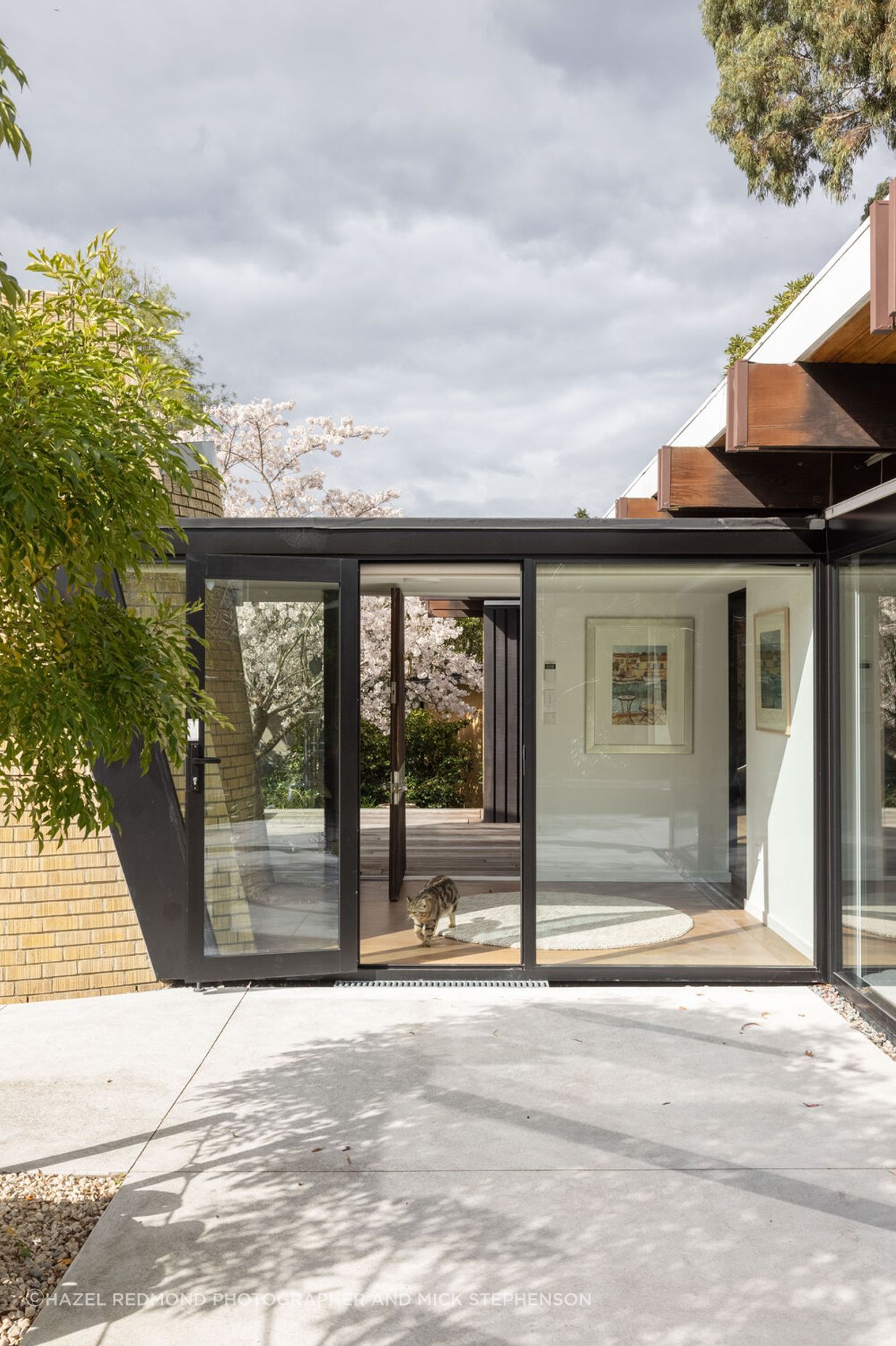 Mid-Century Renovation