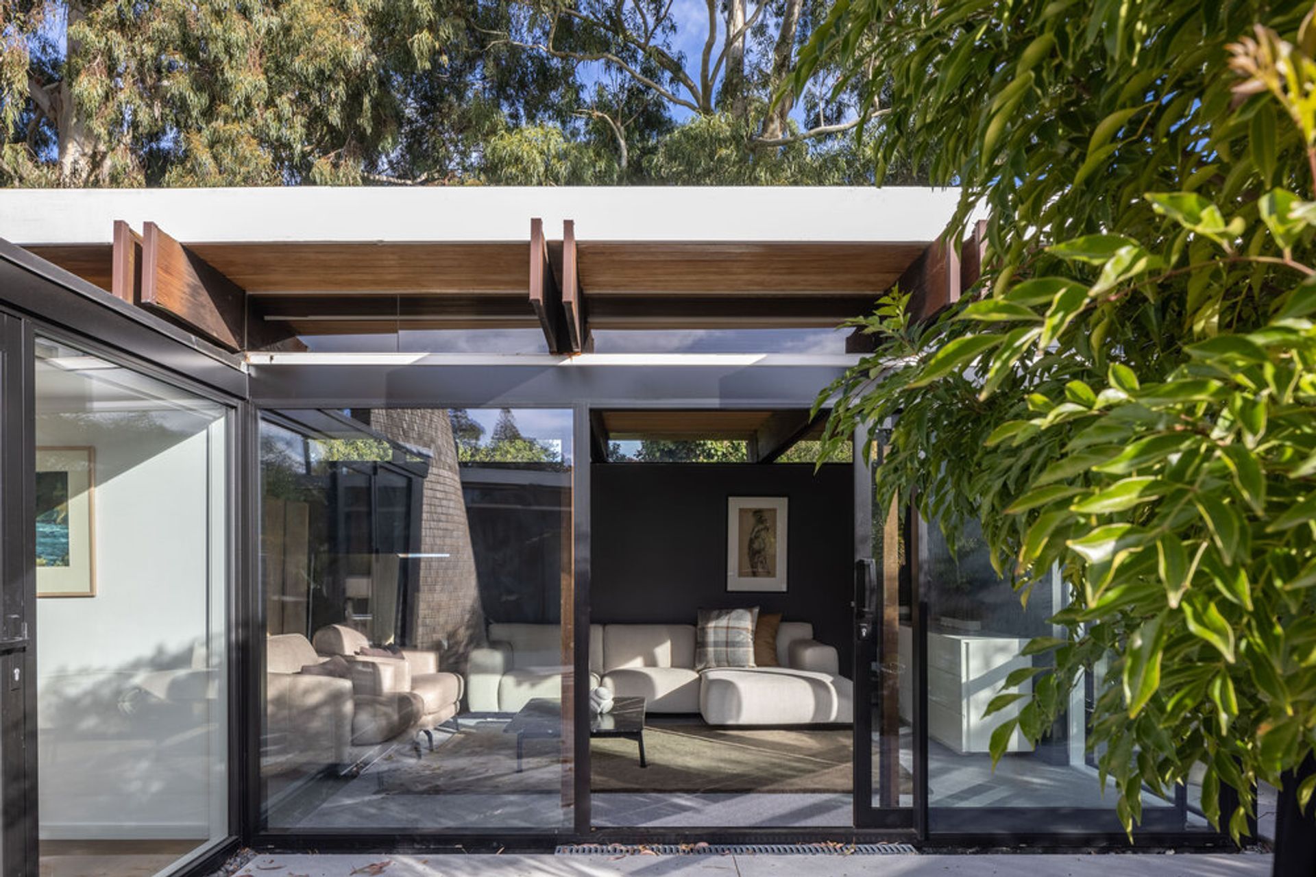 Mid-Century Renovation