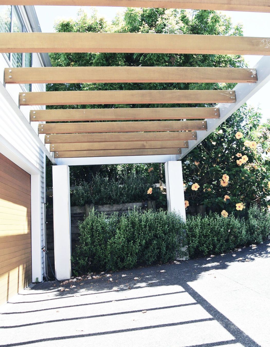 Hall House - Remuera