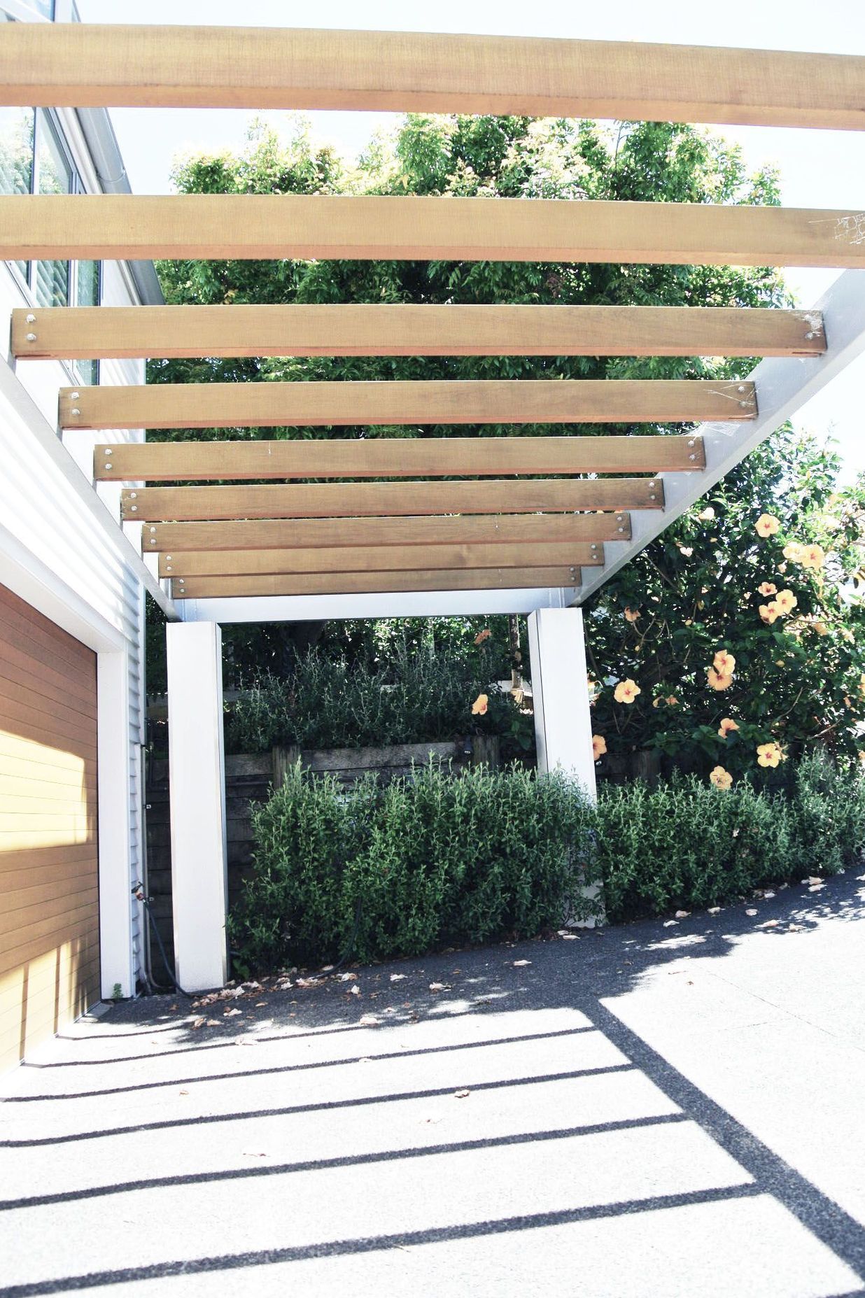Hall House - Remuera