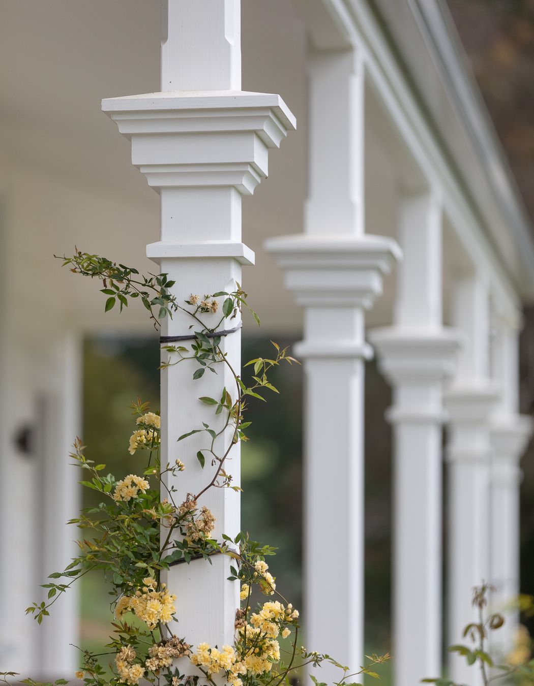 Stunning restoration and replacement of veranda posts machined in factory and fitted on site by Brittin Builders