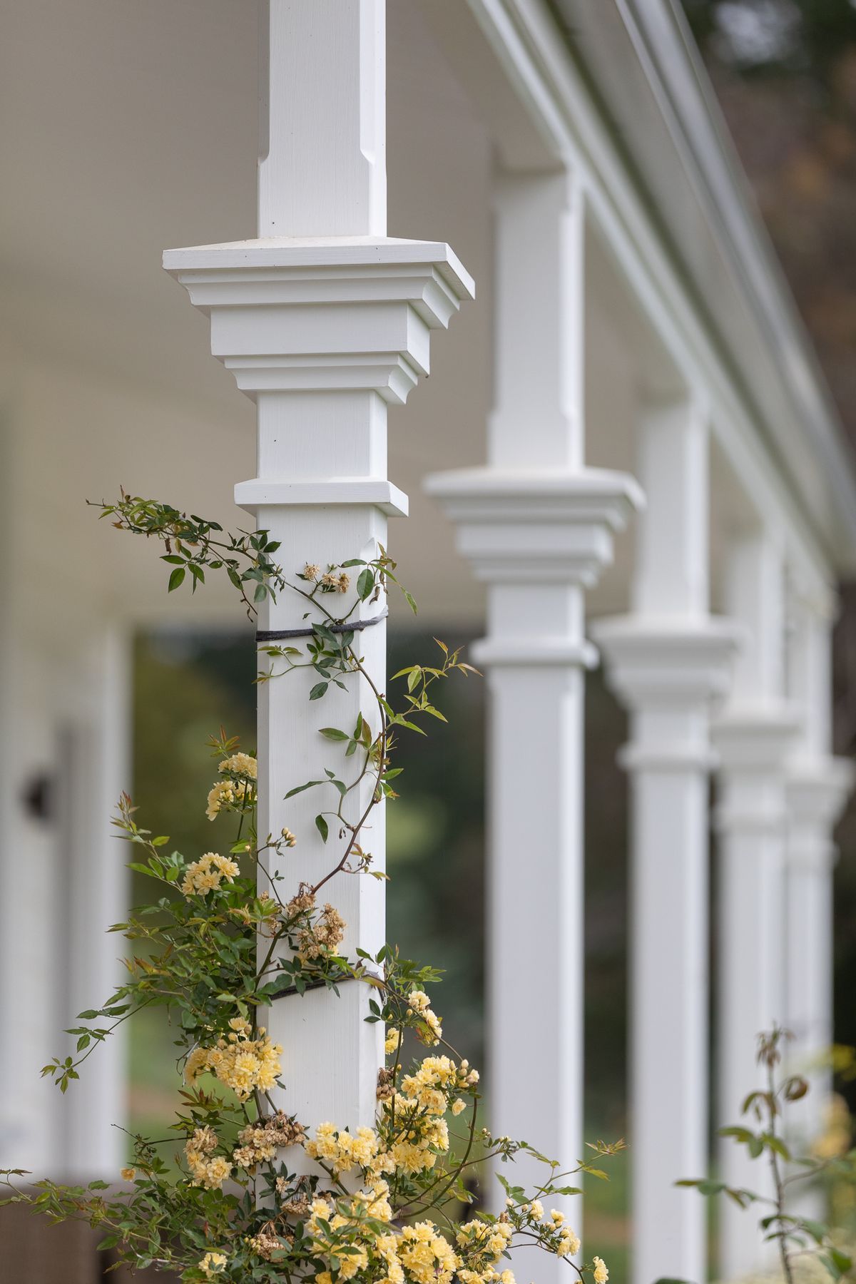Stunning restoration and replacement of veranda posts machined in factory and fitted on site by Brittin Builders