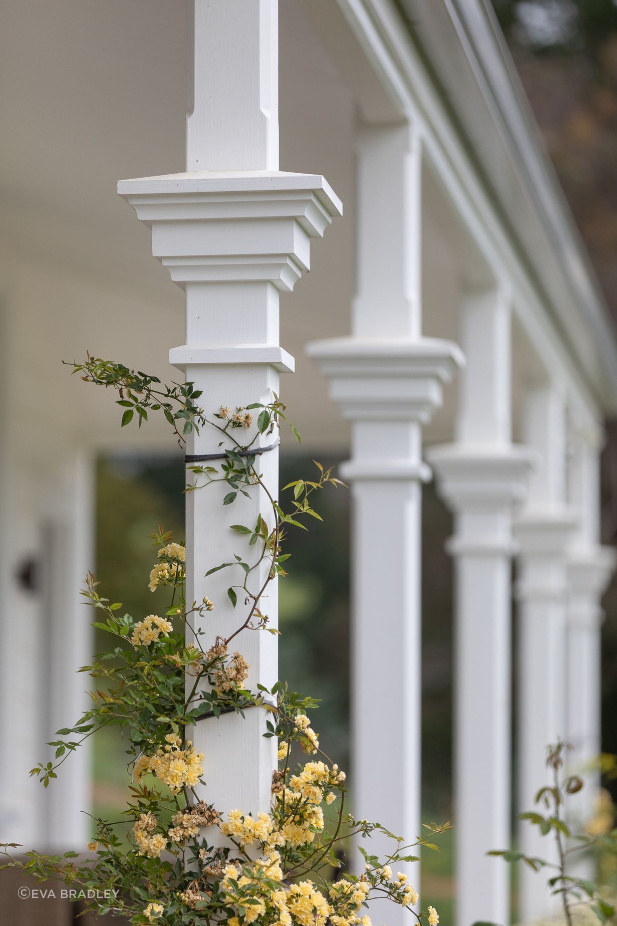Stunning restoration and replacement of veranda posts machined in factory and fitted on site by Brittin Builders