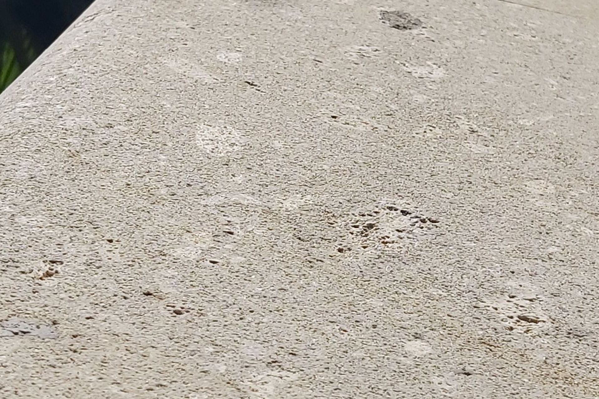 Hinuera Stone mold and mildrew removal and restoration completed with protection application