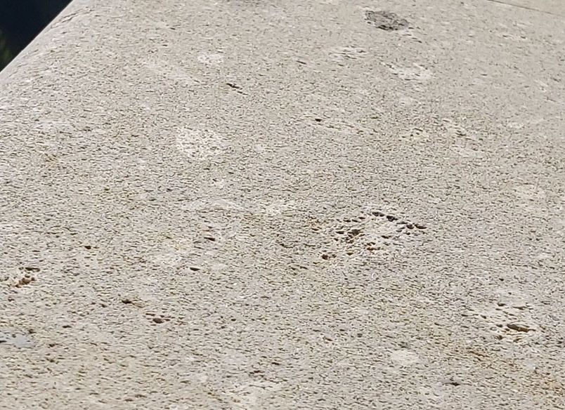 Hinuera Stone Restoration and Protection Application