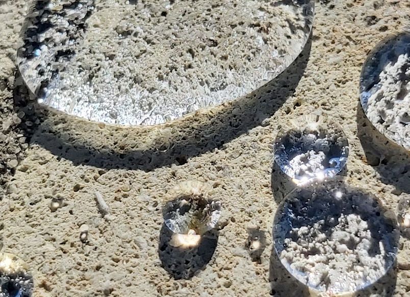 Hinuera Stone Restoration and Protection Application