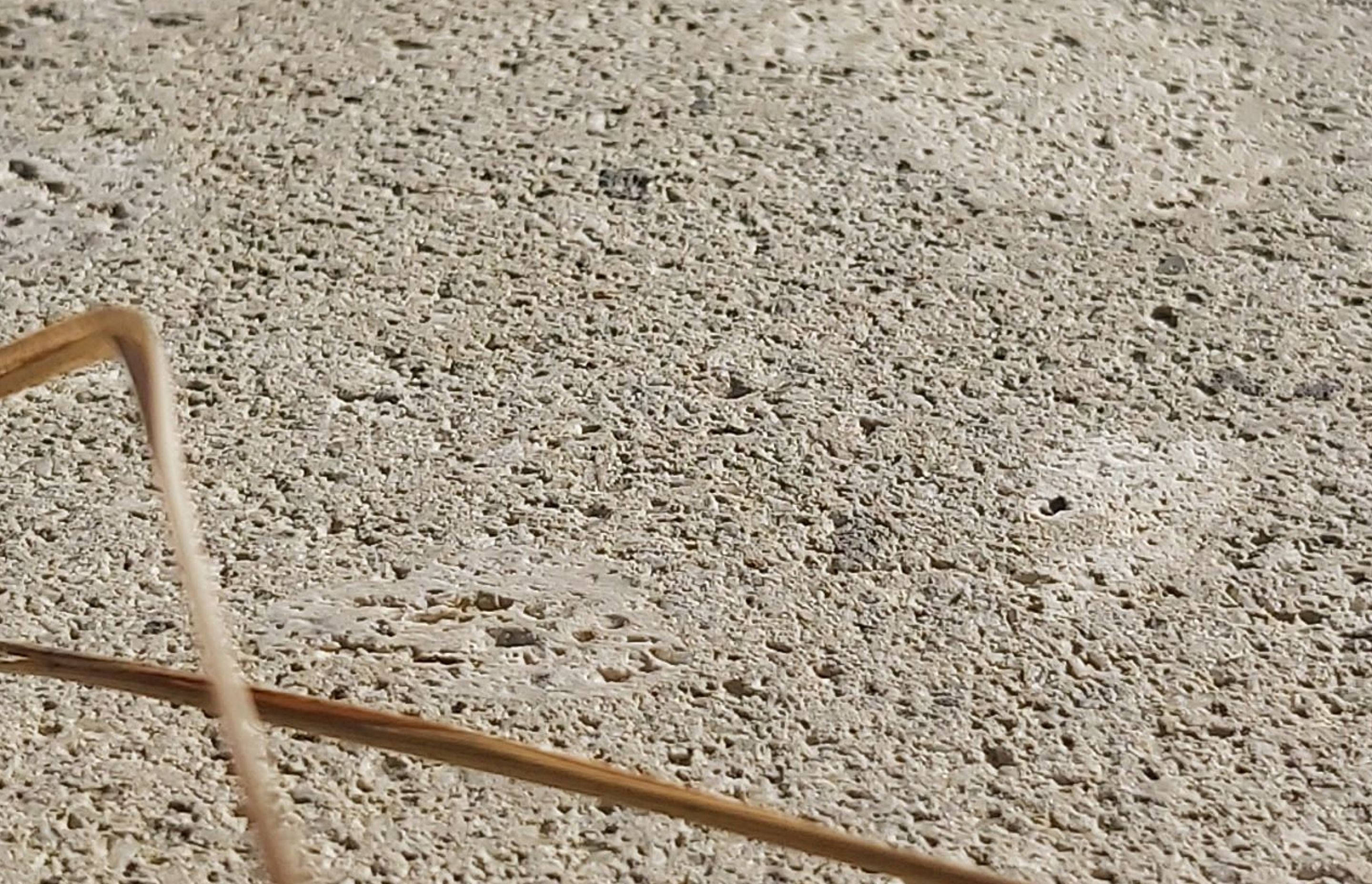 Hinuera Stone Restoration and Protection Application by Stone Lab