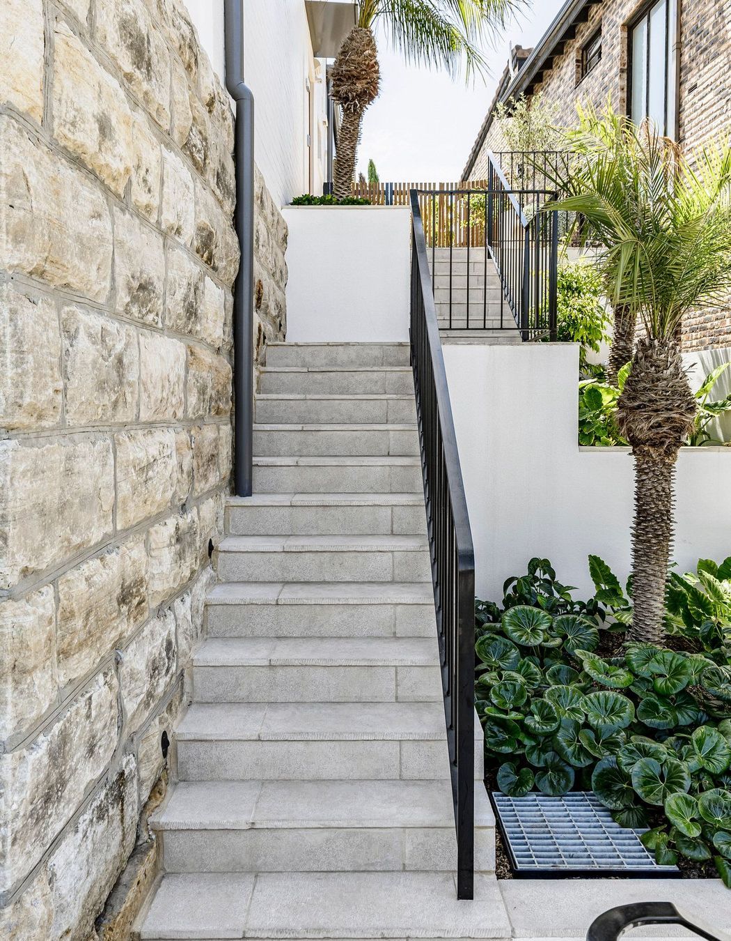 Hopetoun-av-Vaucluse-16.jpg