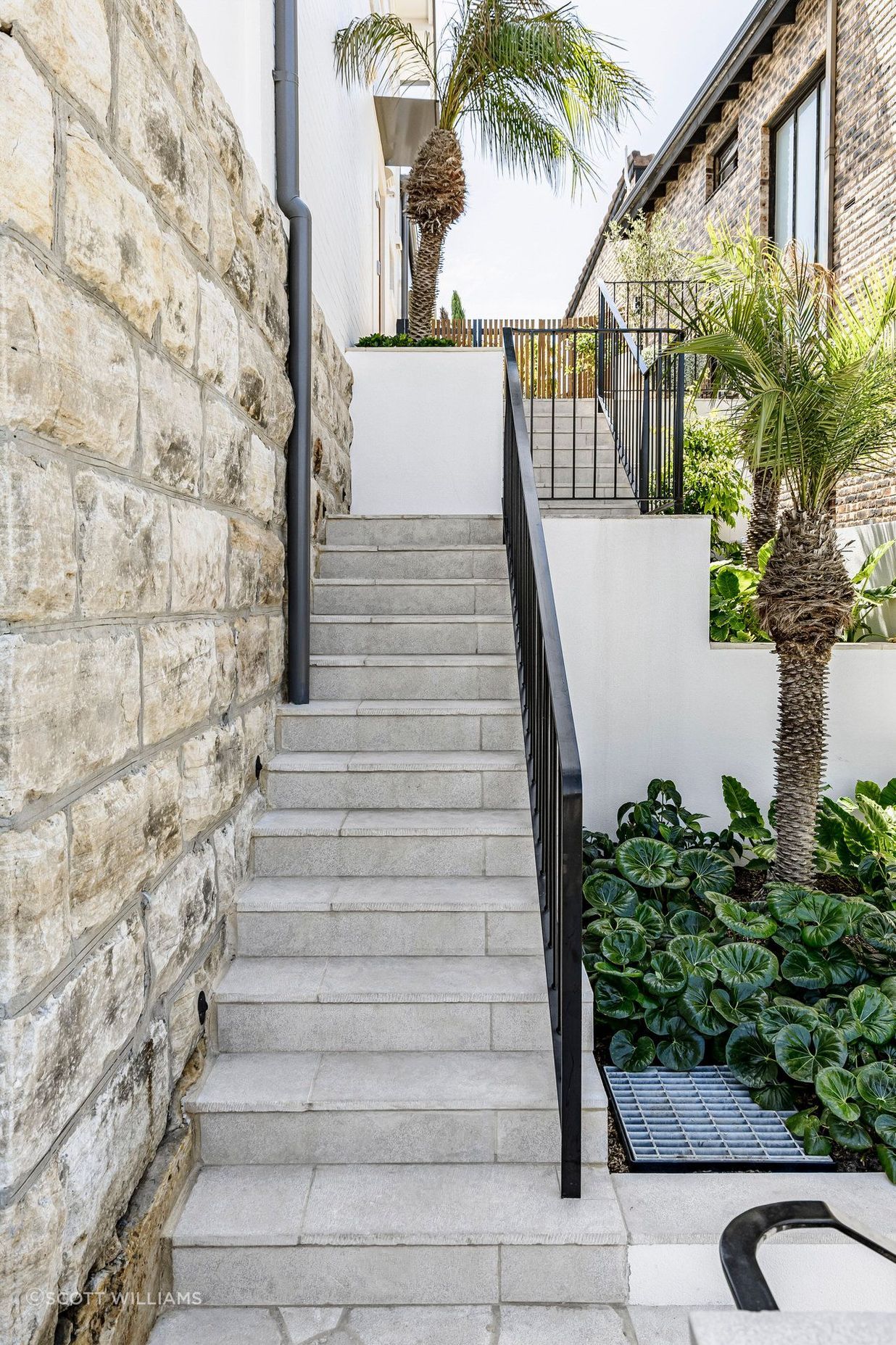Hopetoun-av-Vaucluse-16.jpg