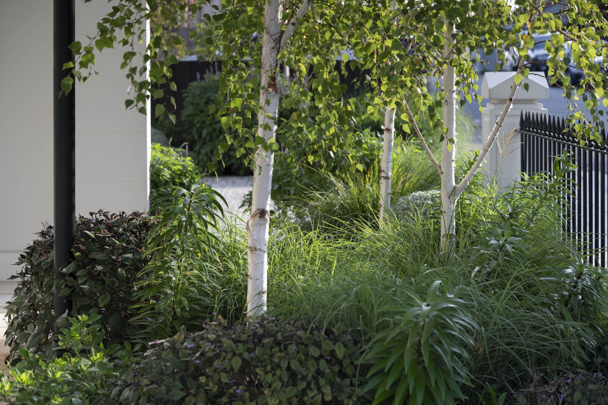 Hone Garden