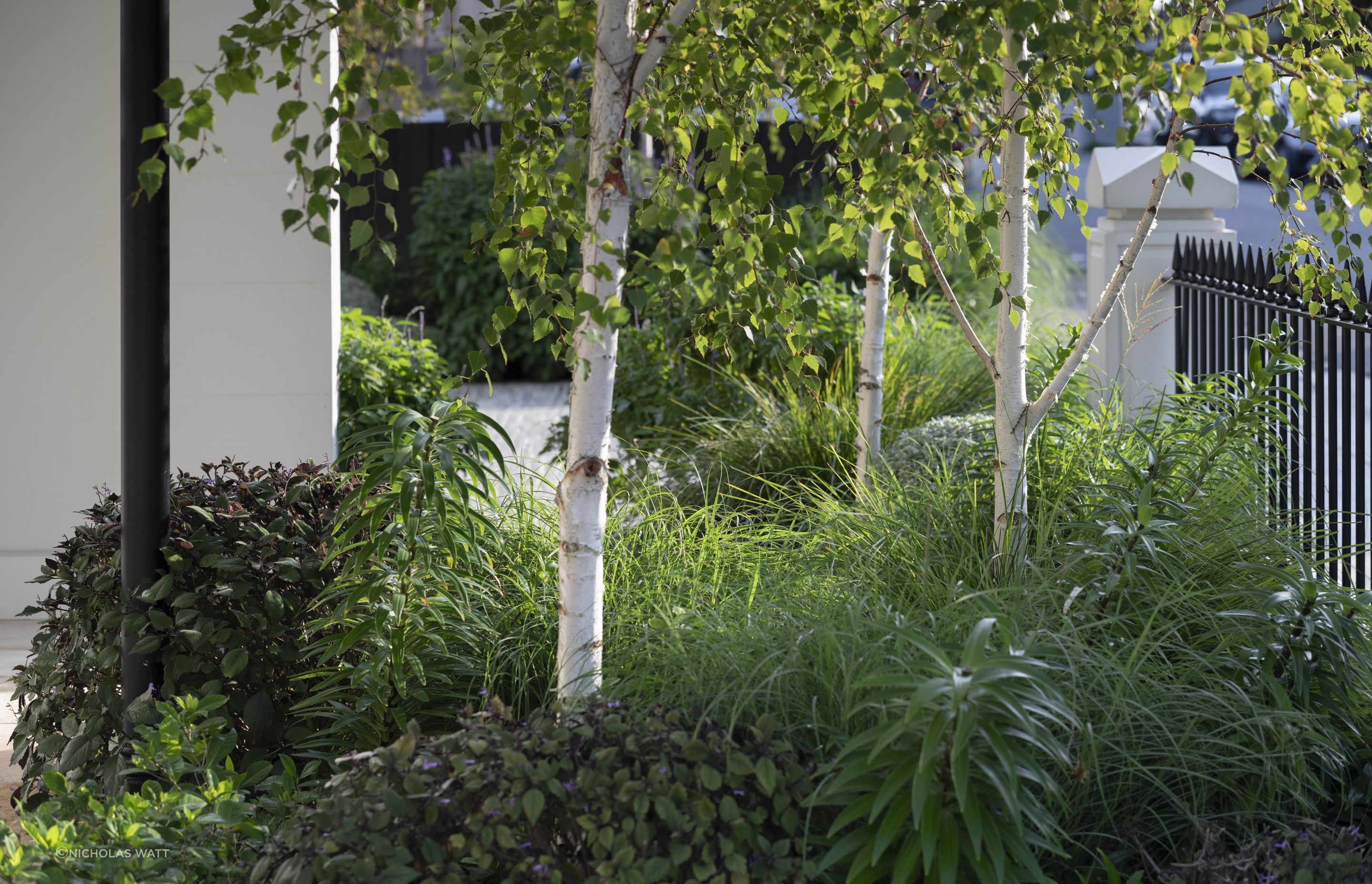 Hone Garden