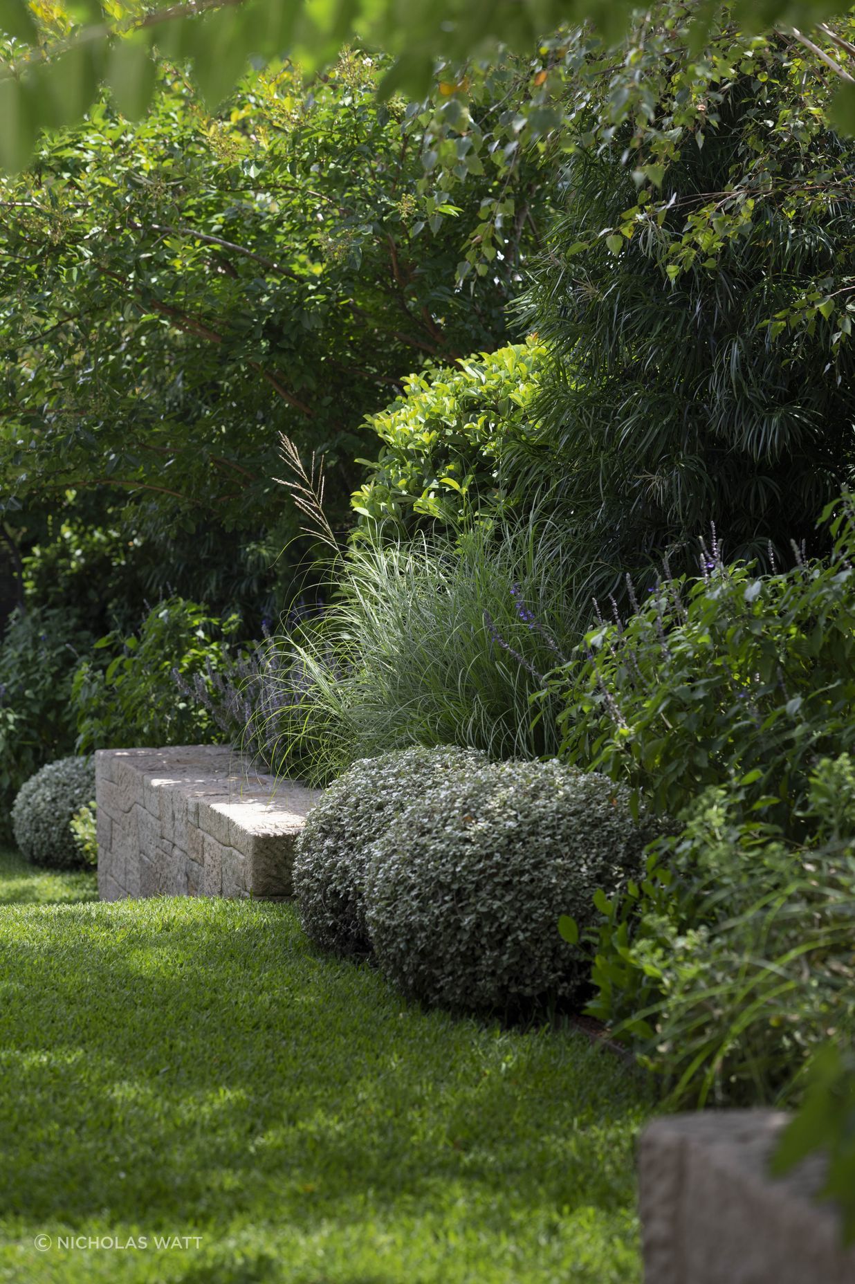 Hone Garden