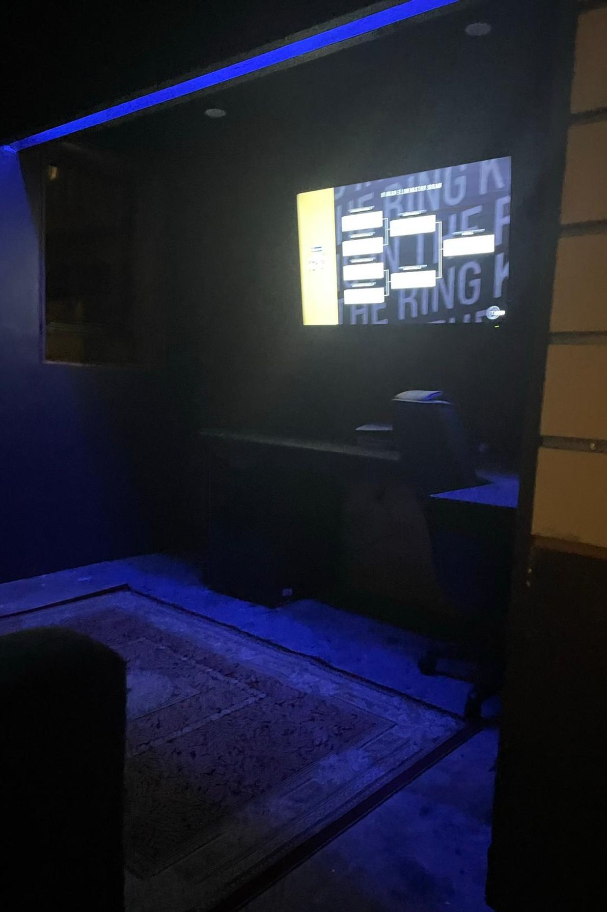 Man Cave Upgrade