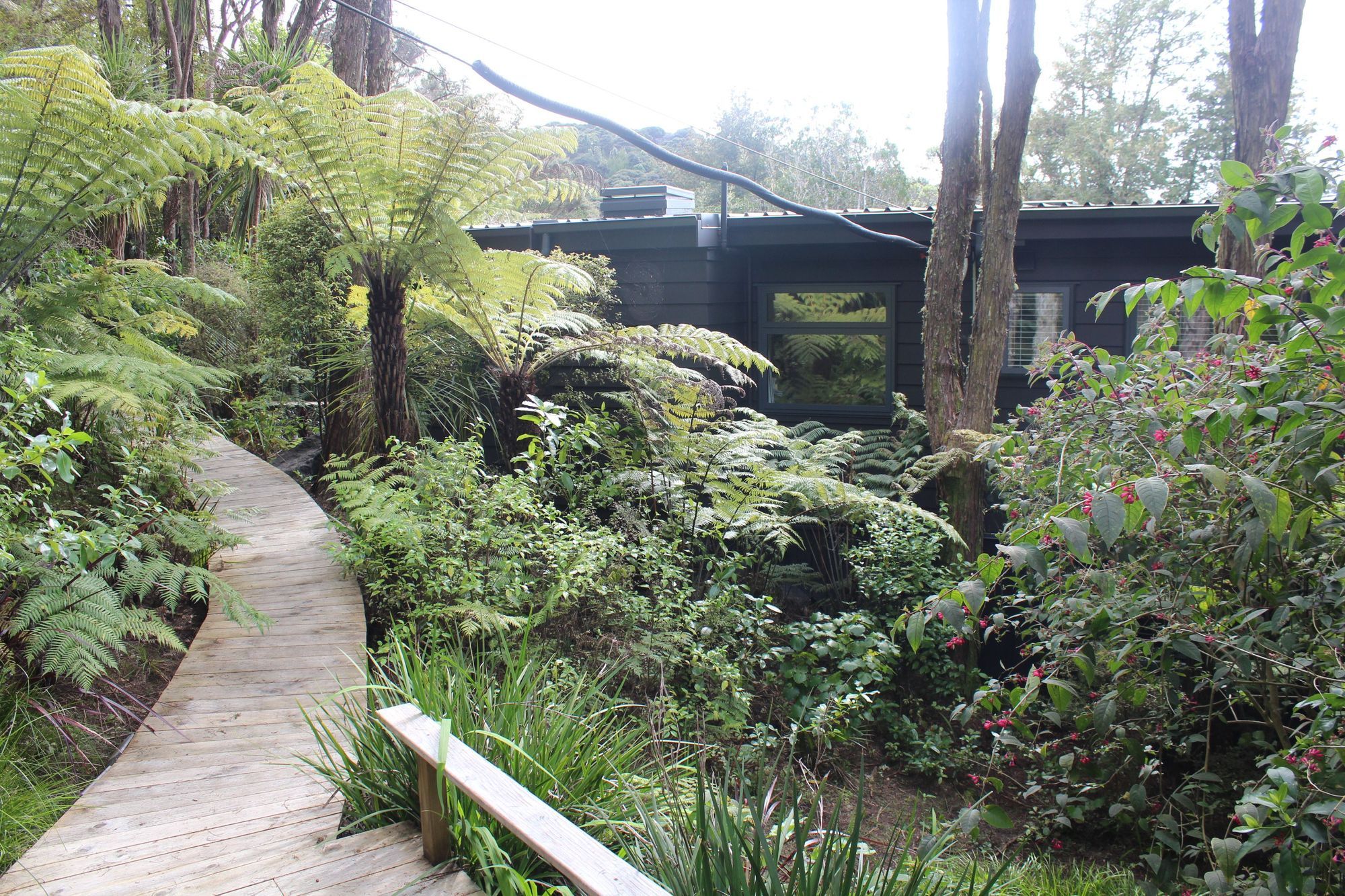 IMG1557-v2.JPG