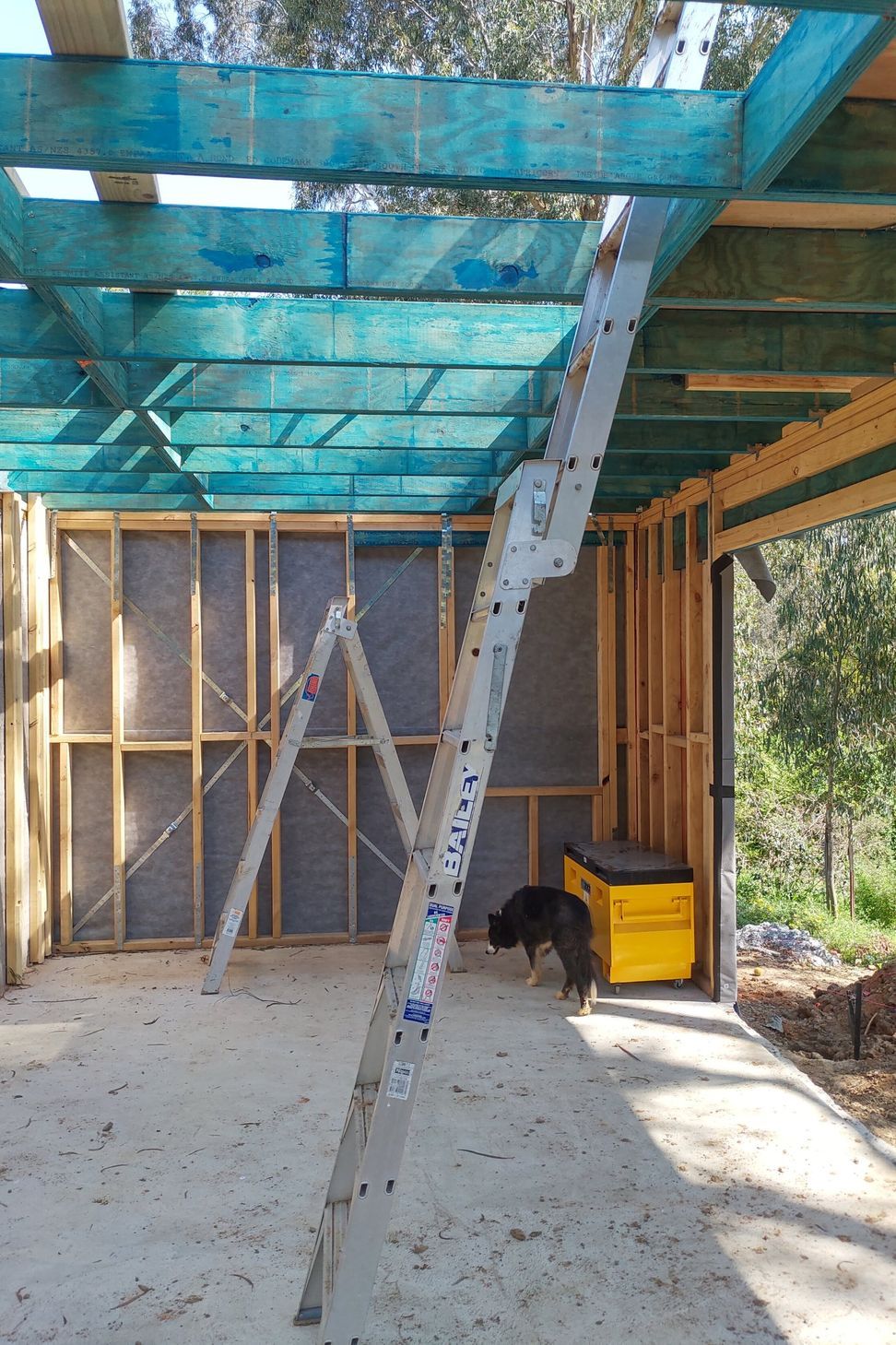TEMPLESTOWE - Obriens Lane | Renovation &amp; Extensions