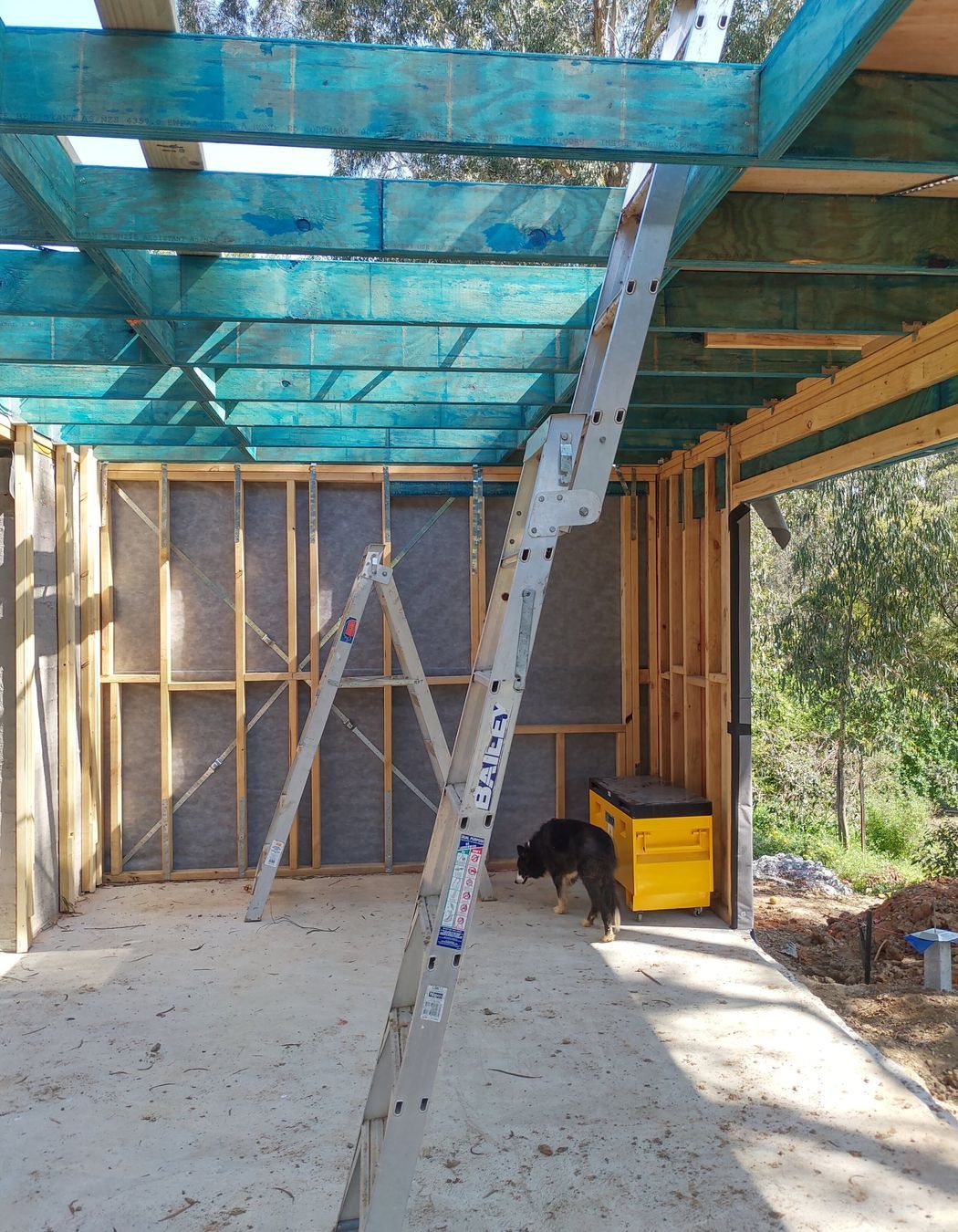 TEMPLESTOWE - Obriens Lane | Renovation &amp; Extensions