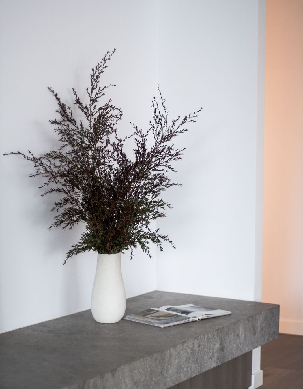 Toorak Apartment 02