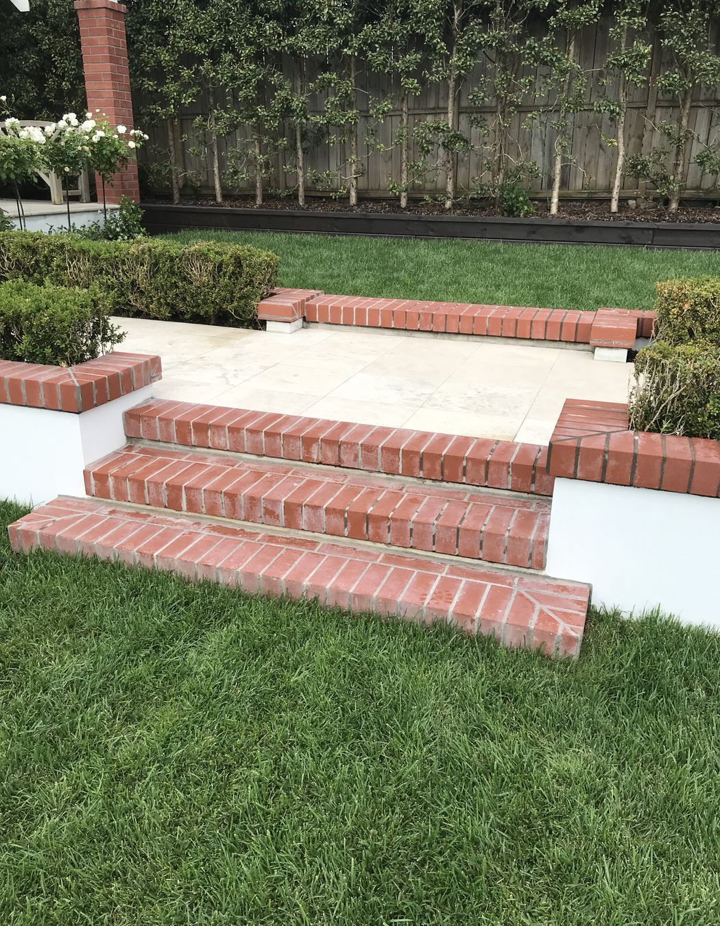 English Rose, Remuera