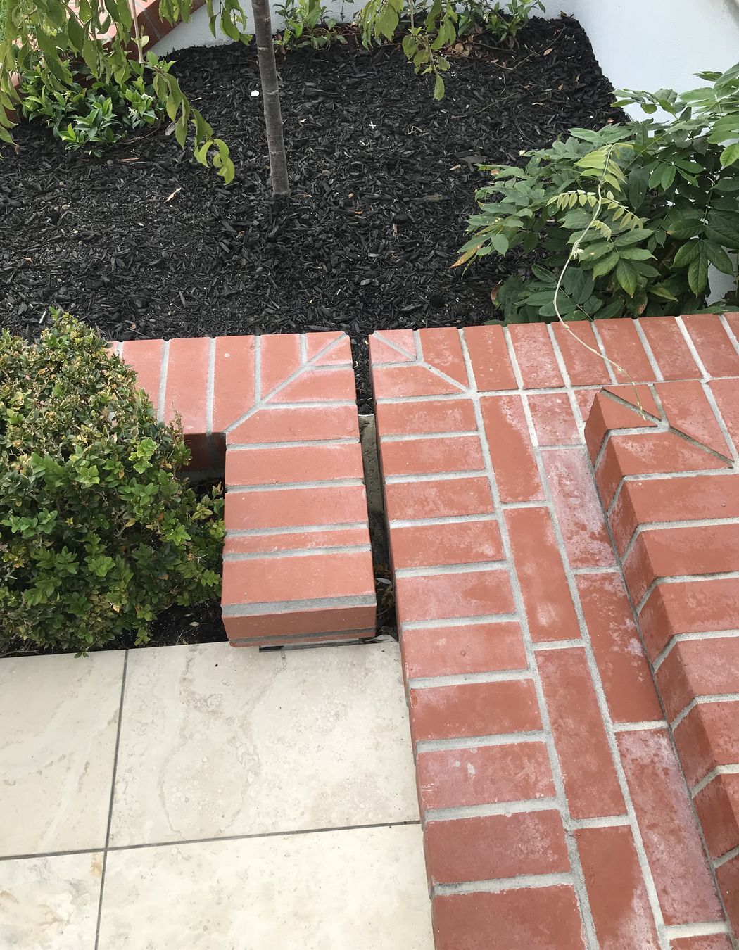 English Rose, Remuera