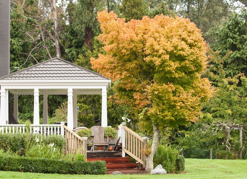 Mangaroa Valley - Renovation