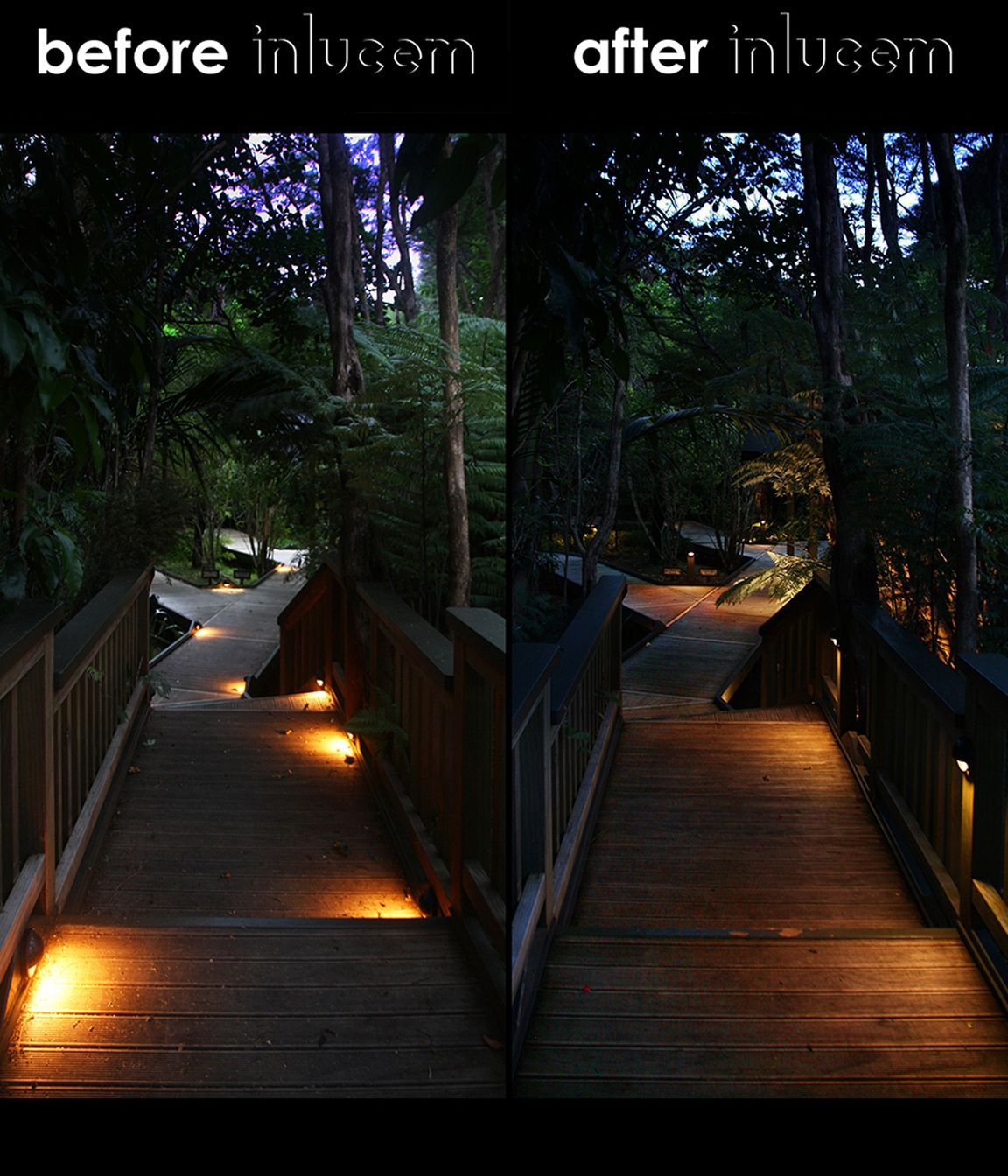 Before and After
