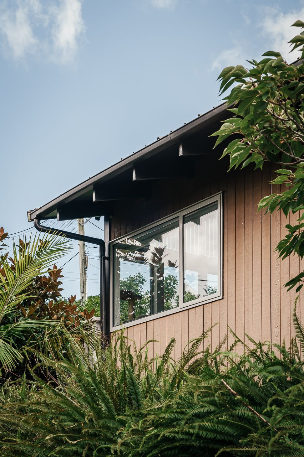 Northcote Point Project