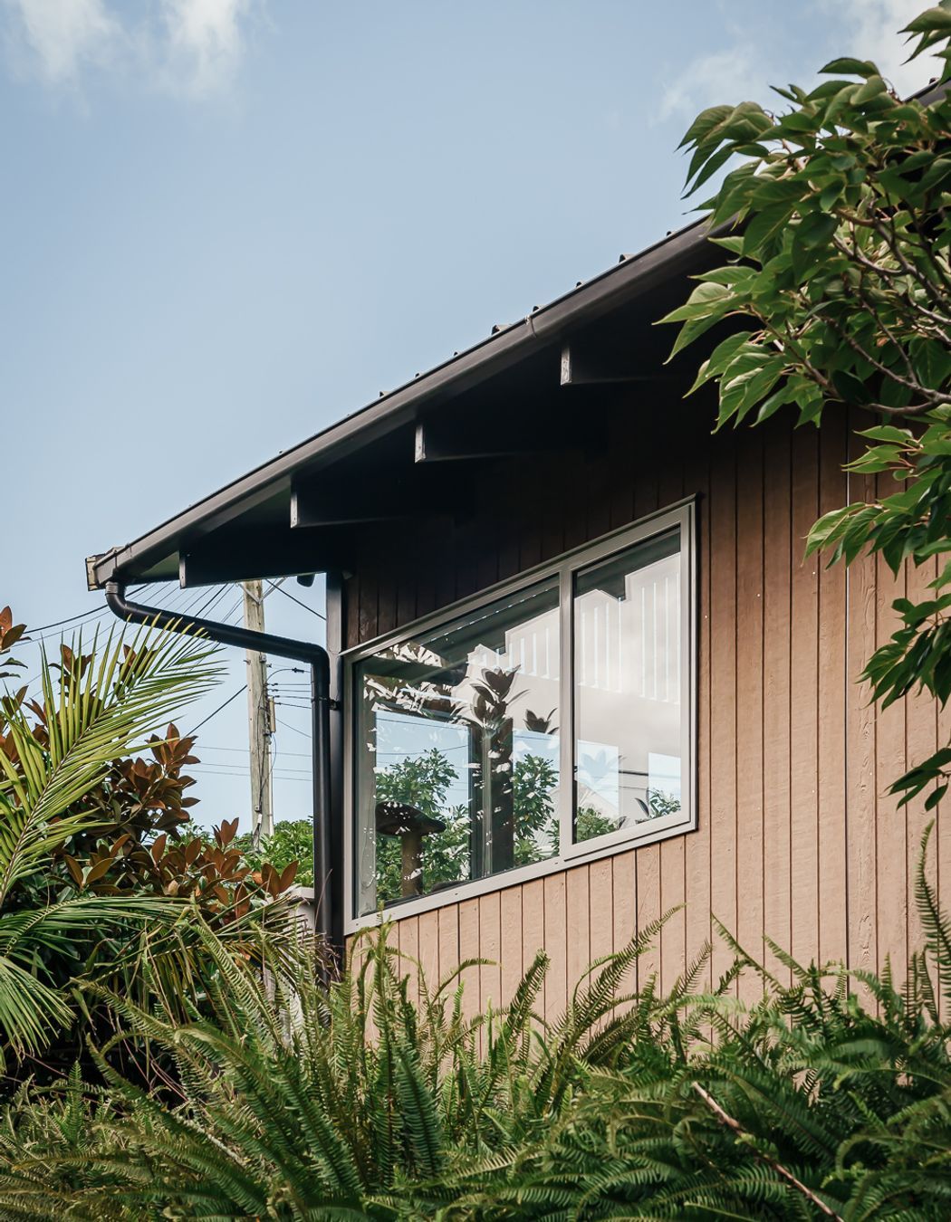 Northcote Point Project