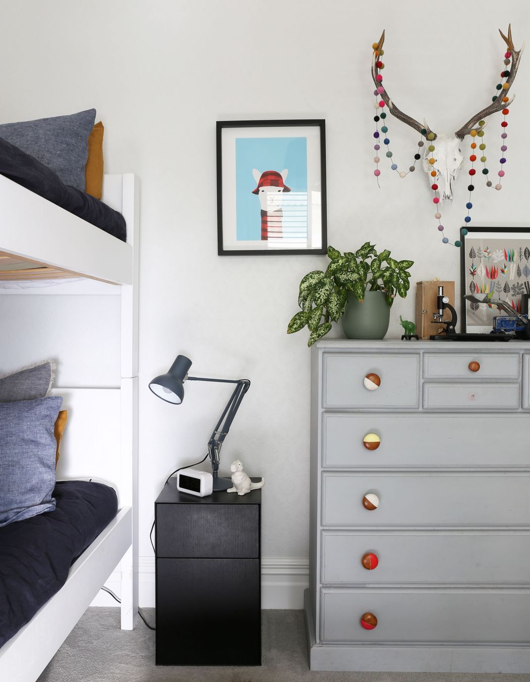 Mt Eden Renovation