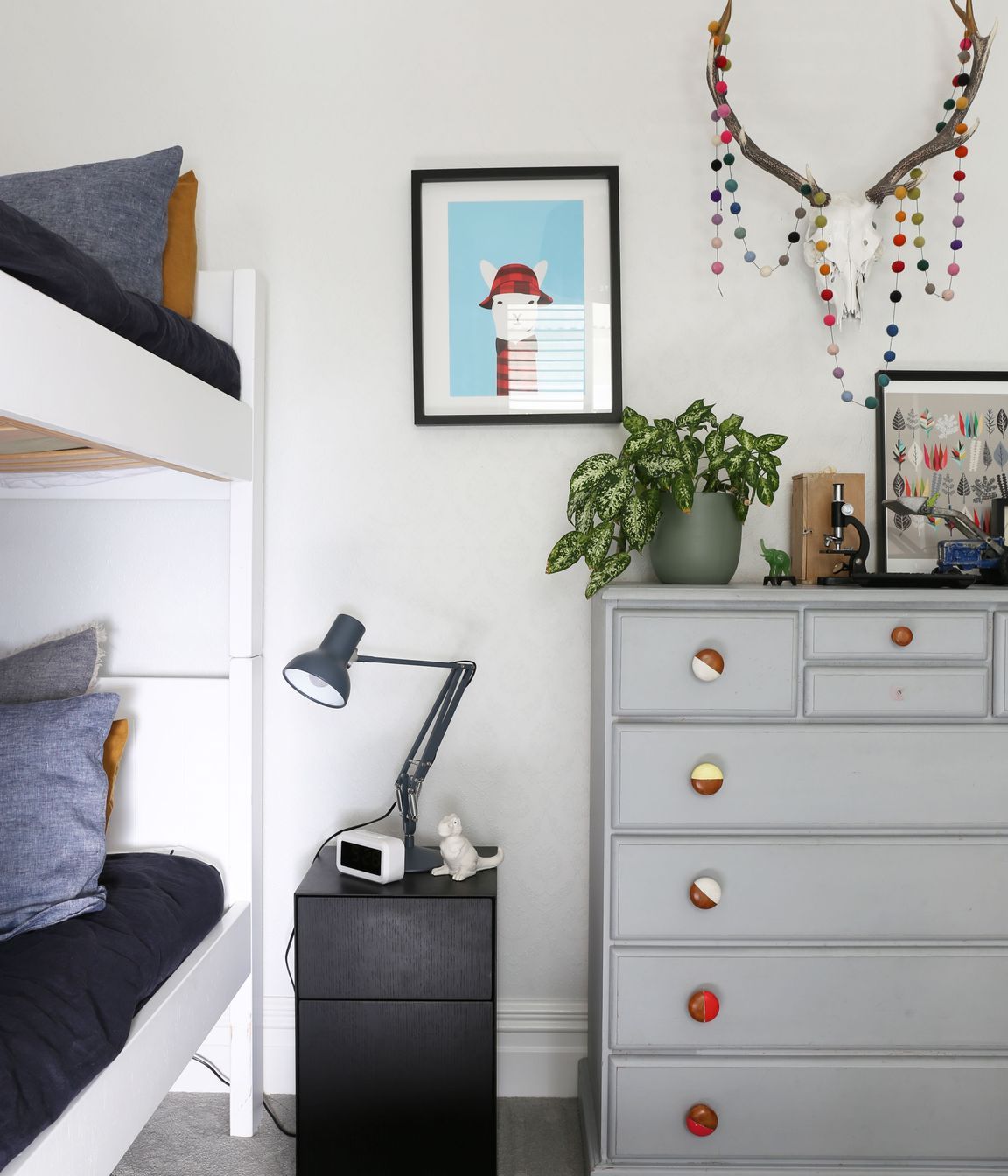 Mt Eden Renovation