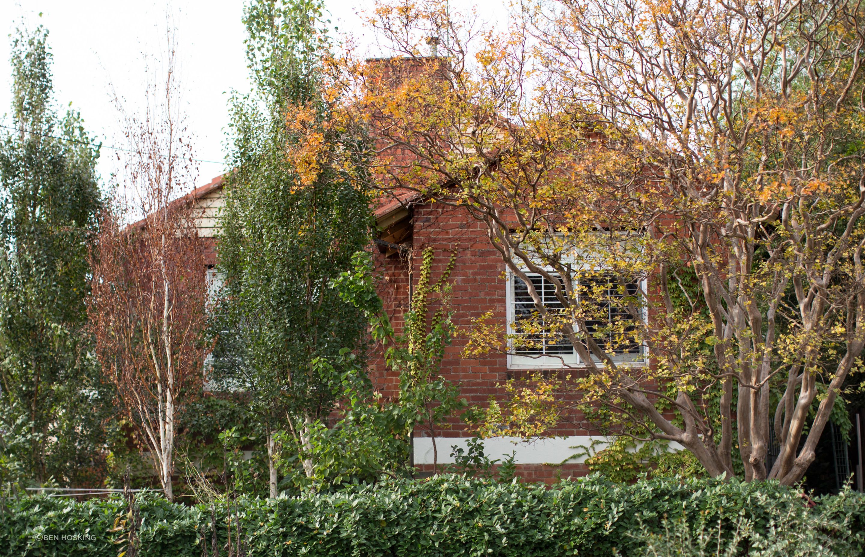 Julius St