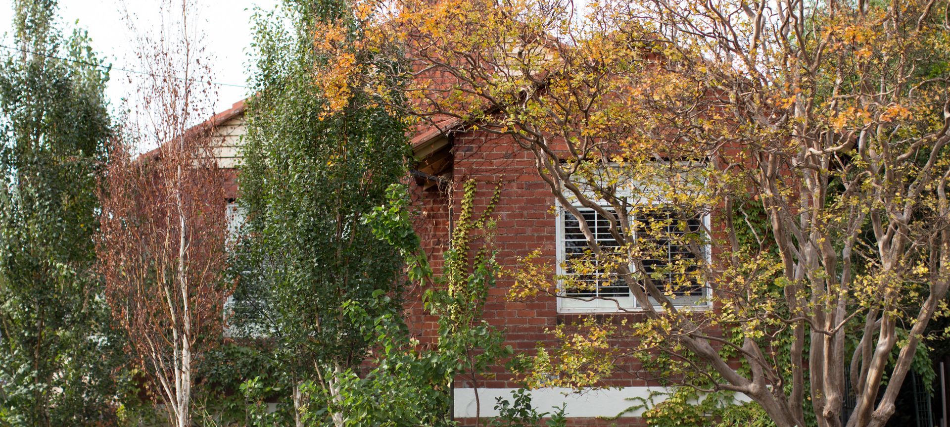 Julius St banner