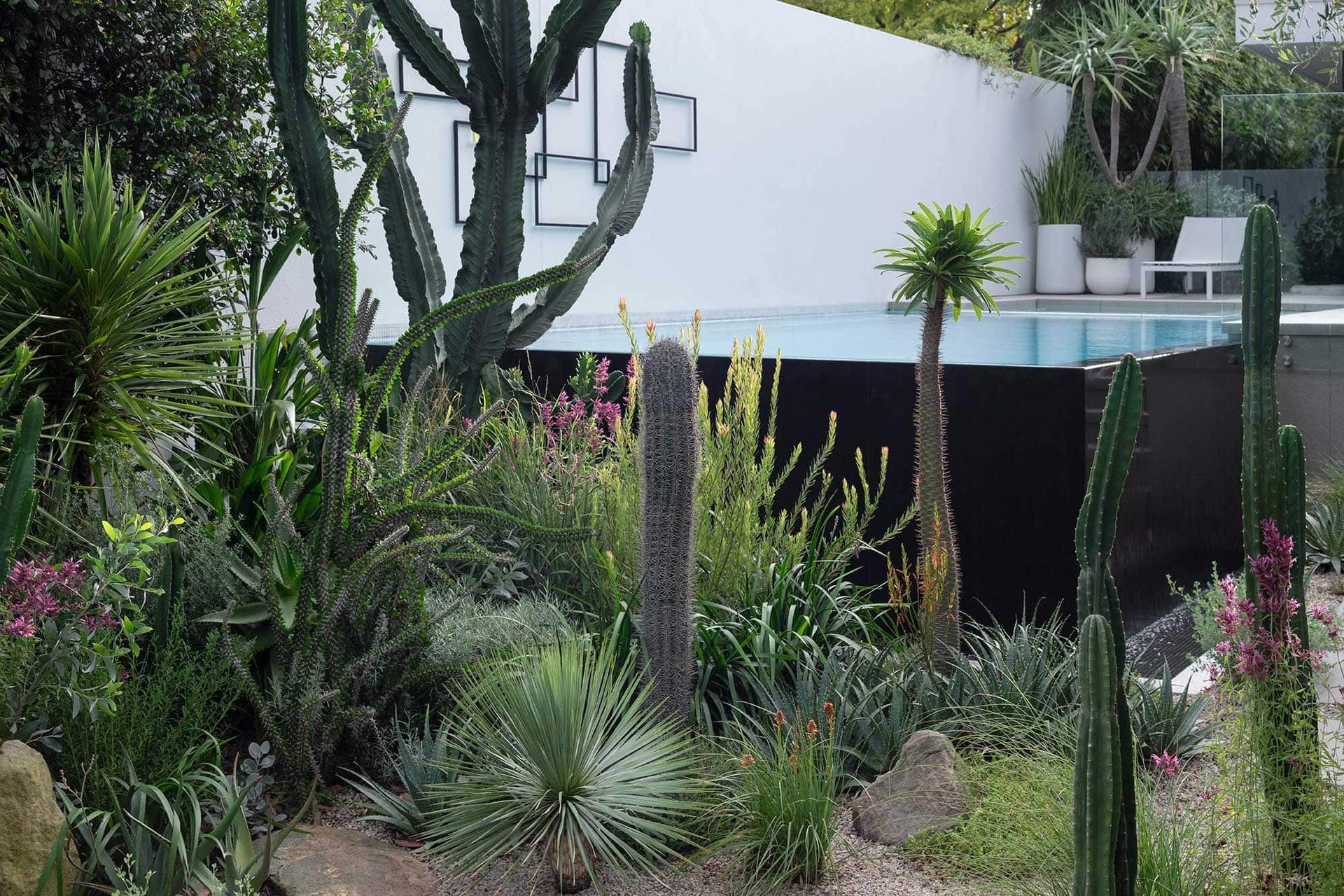 Landscape-Design-COURLAND-13-02-20250088.jpg