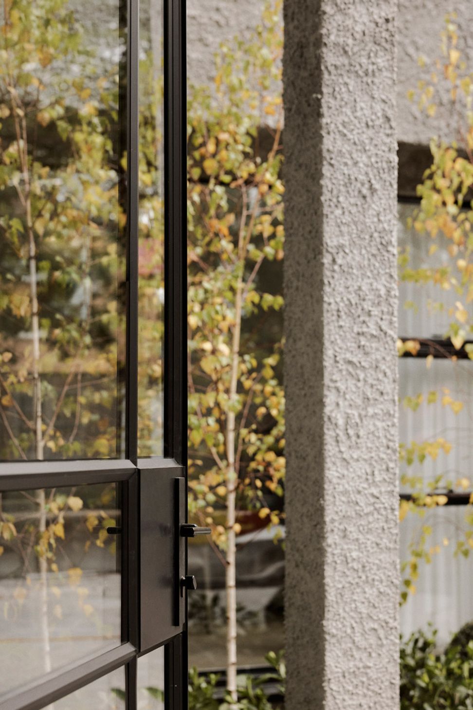 MIMDesignBotanicalHouse202504290013.jpg