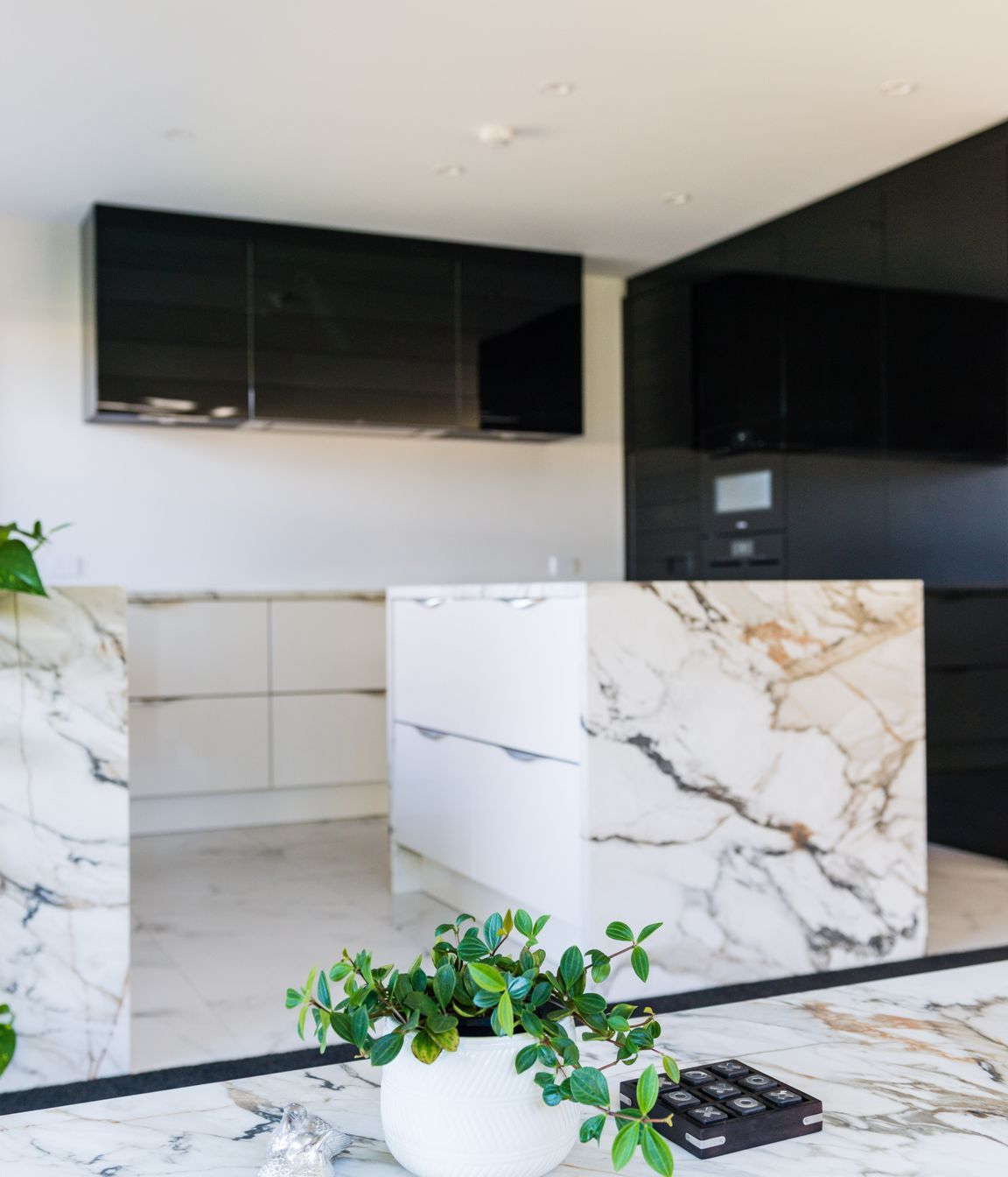 Luxe Renovation