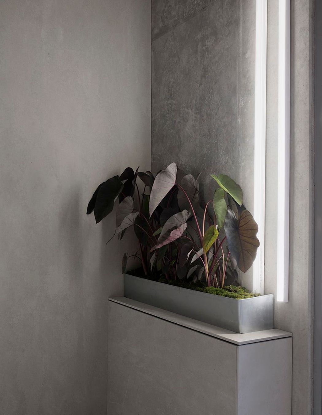 Photography: Ben Hosking
