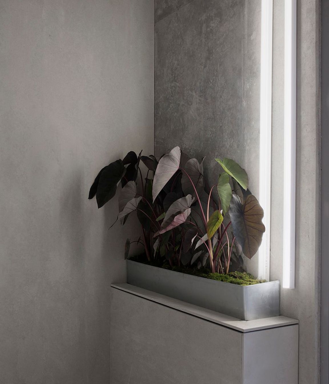 Photography: Ben Hosking