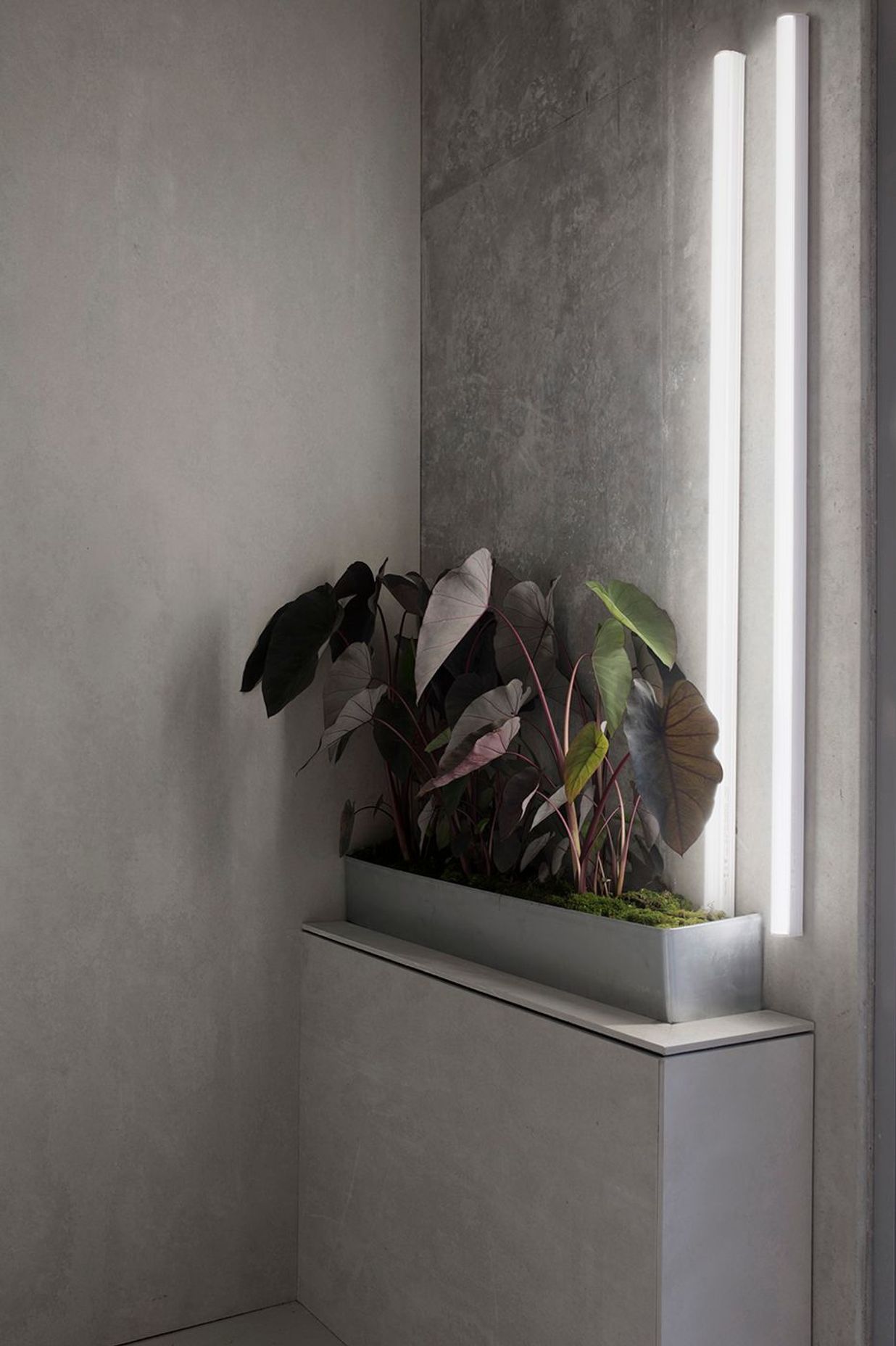 Photography: Ben Hosking