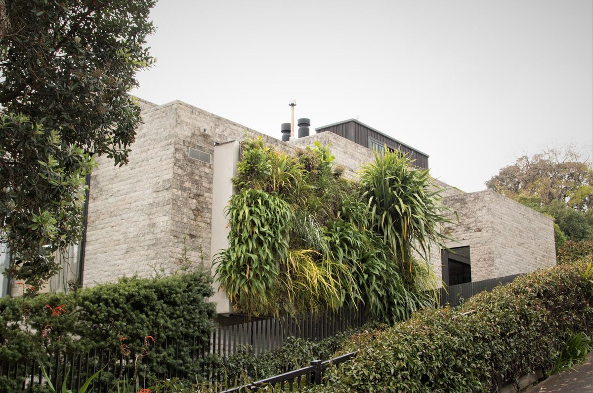 Parnell Home Green Wall
