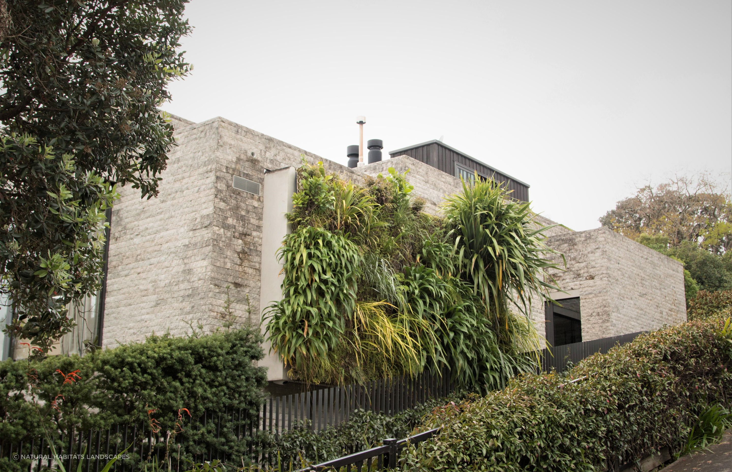 Parnell Green Wall