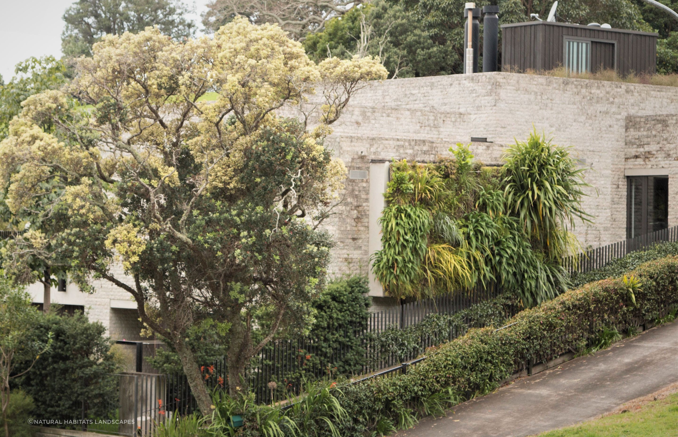 Parnell Green Wall