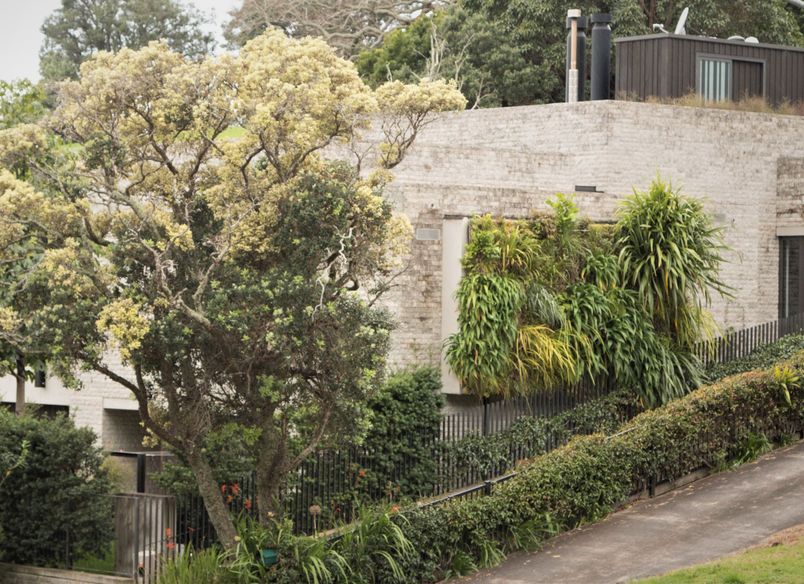 Parnell Home Green Wall